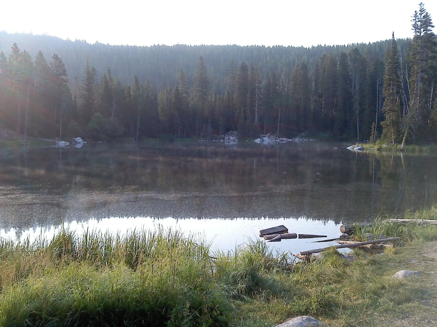 Mountain lake at dawn with light mist, pine forest and logs along the shore on Little Bear Road in the Gallatin Range near Bozeman, Montana