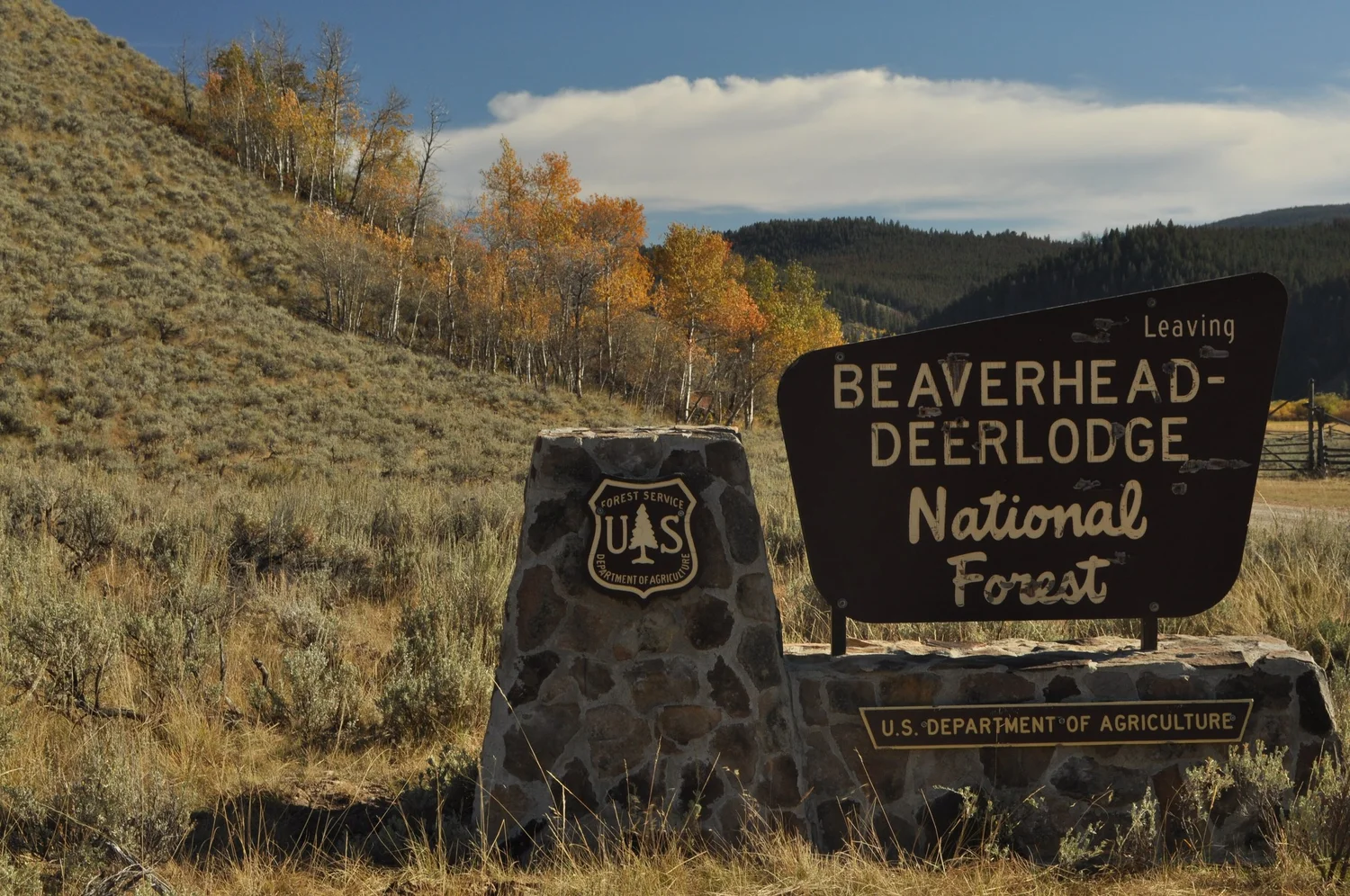 Leaving Beaverhead-Deerlodge National Forest boundary sign in fall