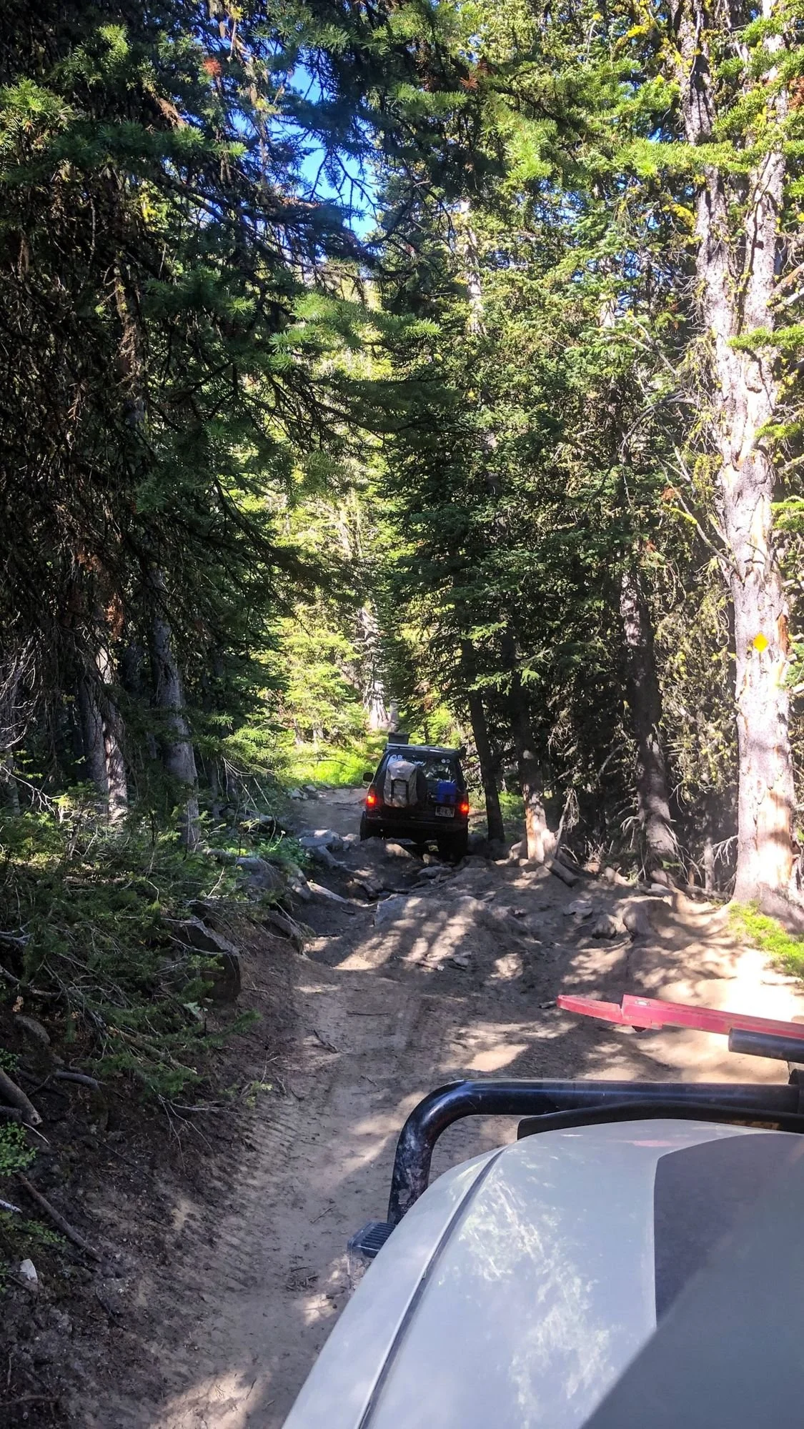 Truck ahead on a shady dirt trail through tall pines, seen over a hood on the North Meadow Creek trail to McKelvey Lake in the Tobacco Root Mountains, Montana