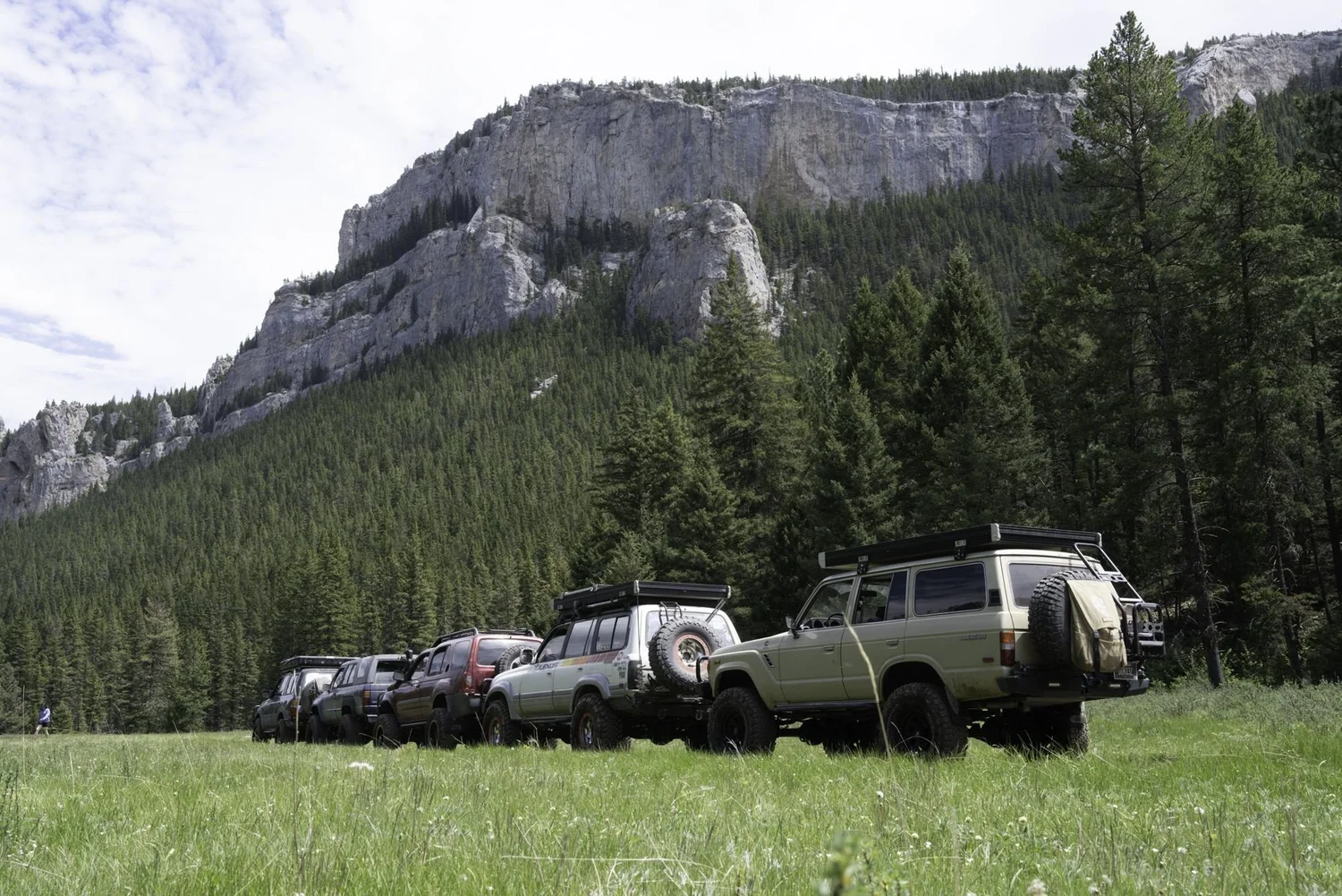 Line of Land Cruisers and other trucks parked in a green meadow below tall limestone cliffs on the Middle Fork Judith River road in the Little Belt Mountains, Montana