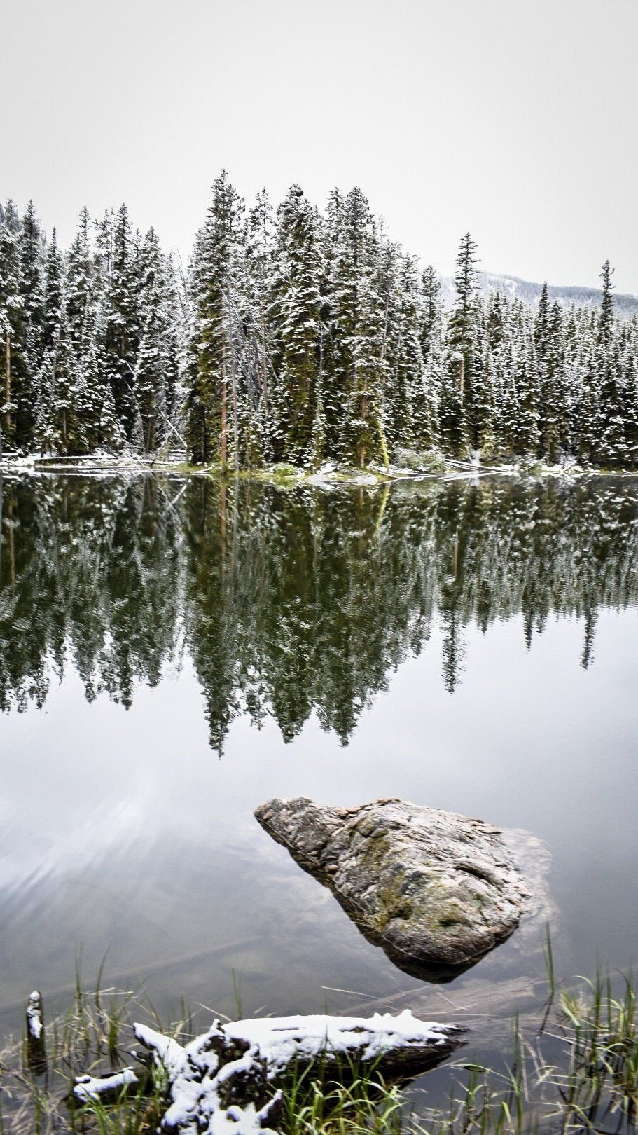 Single rock in a calm lake reflecting snowy pines in the Elkhorn Mountains near Boulder, Montana