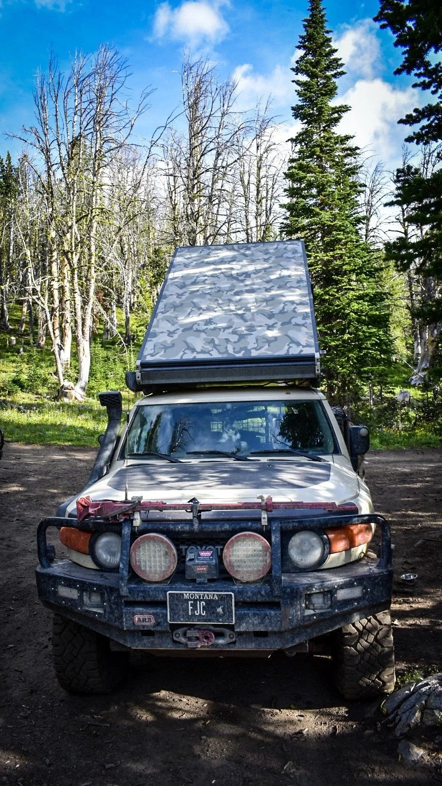 Front of a tan FJ Cruiser with an open Go Fast Camper rooftop tent among dead and living pines on the North Meadow Creek trail to McKelvey Lake in the Tobacco Root Mountains, Montana