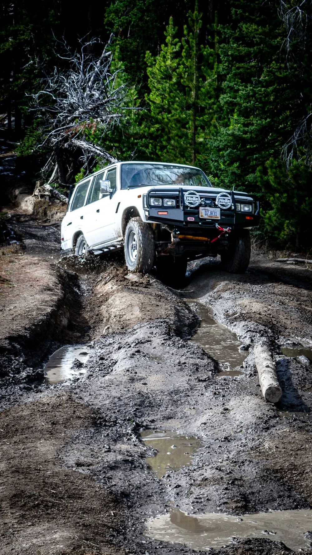 White 4x4 climbing a deeply rutted muddy section