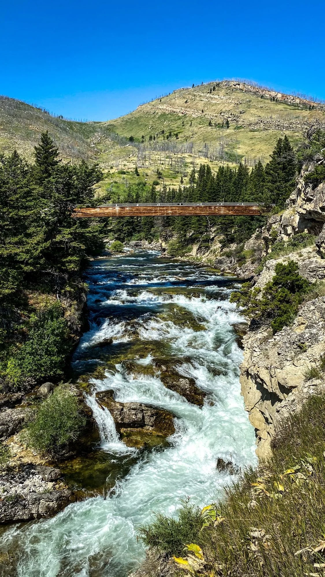 White-water cascade on the Boulder River below a wooden footbridge and forested hills on the Independence road above the Boulder River, Montana