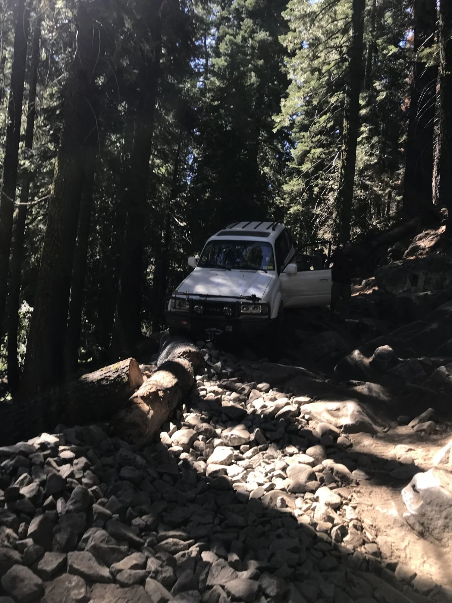 White Toyota Land Cruiser 80 Series climbing past a cut log in a rocky section in deep shade under tall trees on the Rubicon Trail in California during Rubithon 2022