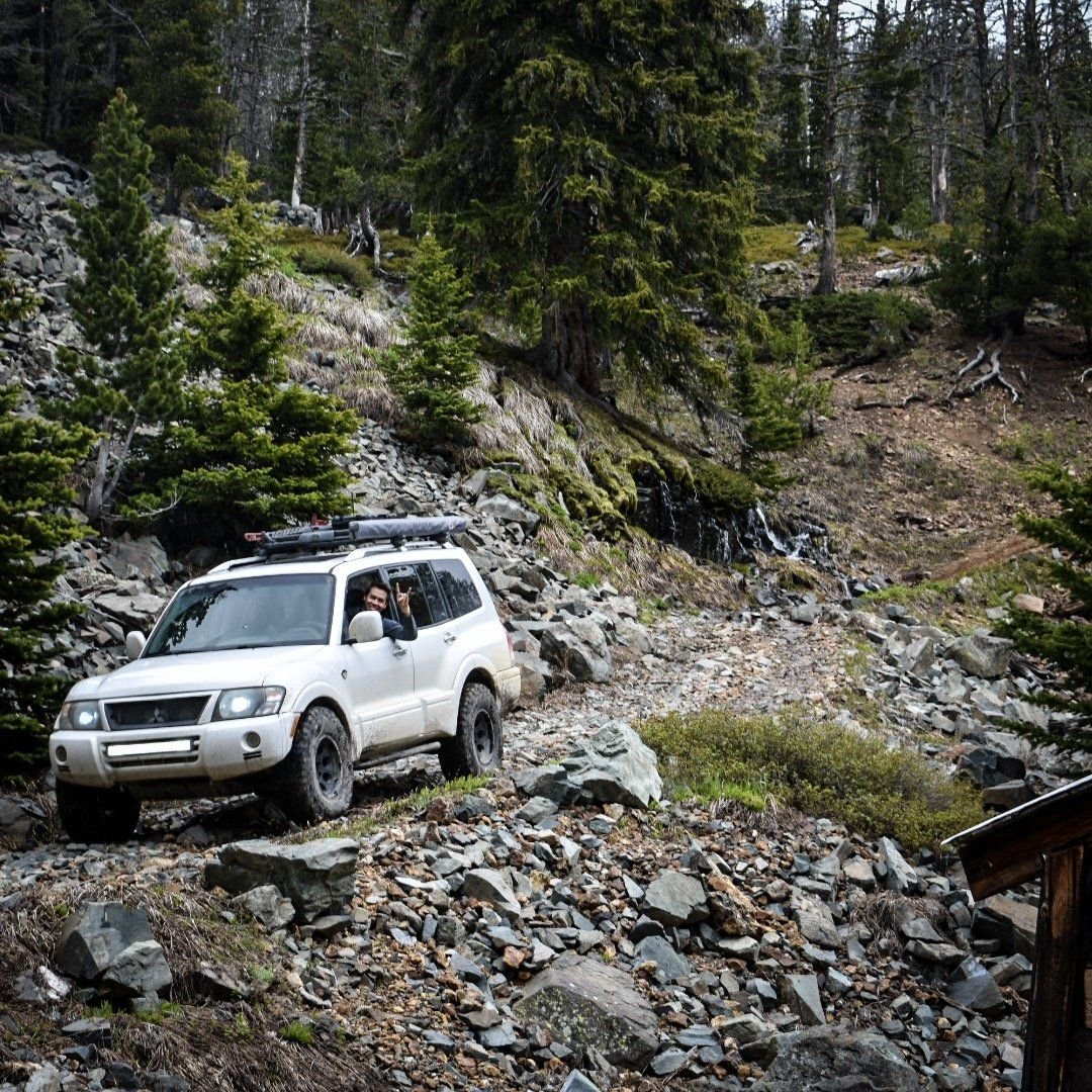 White Montero on a rocky trail in the timber in the Elkhorn Mountains near Boulder, Montana
