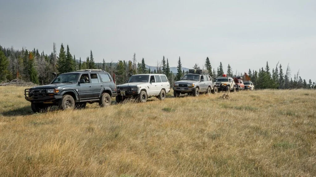Gray 80 Series, a white Land Cruiser and other trucks lined up in a grassy meadow at the edge of the timber on the Morrison Jeep Trail in Clarks Fork Canyon near Cody, Wyoming