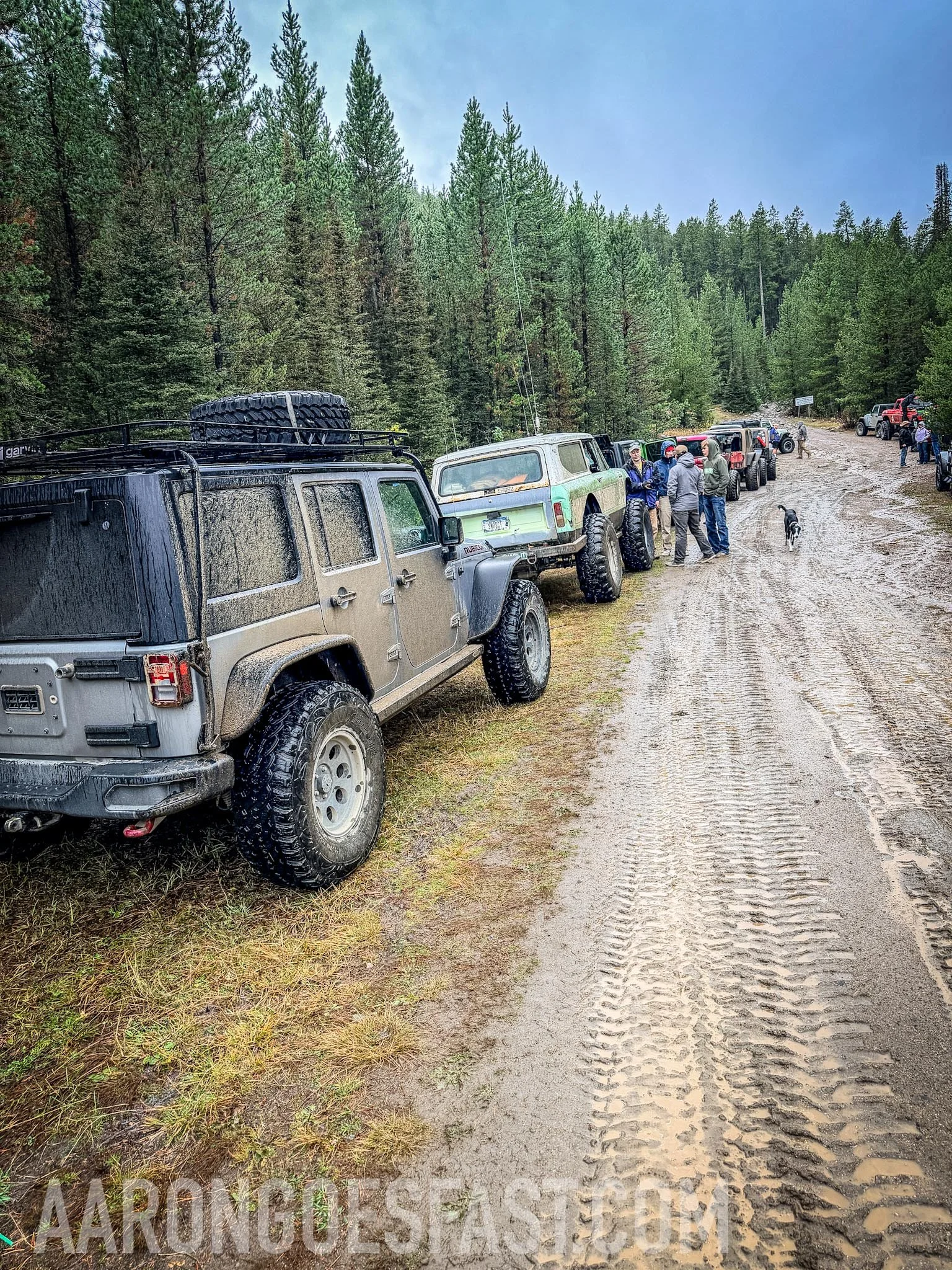Line of Jeeps stretching down a muddy trail through the Tobacco Roots