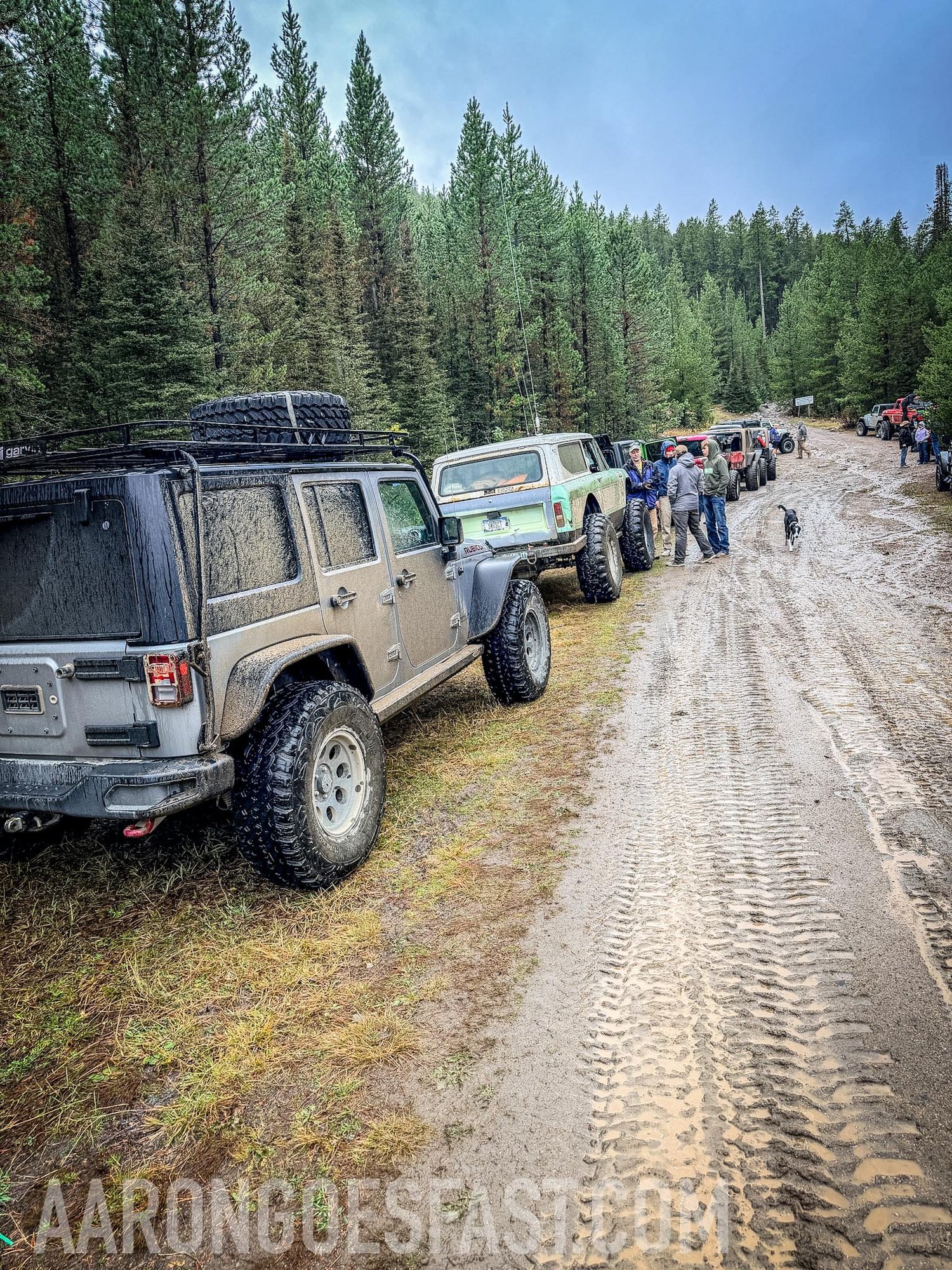 Line of Jeeps stretching down a muddy trail through the Tobacco Roots