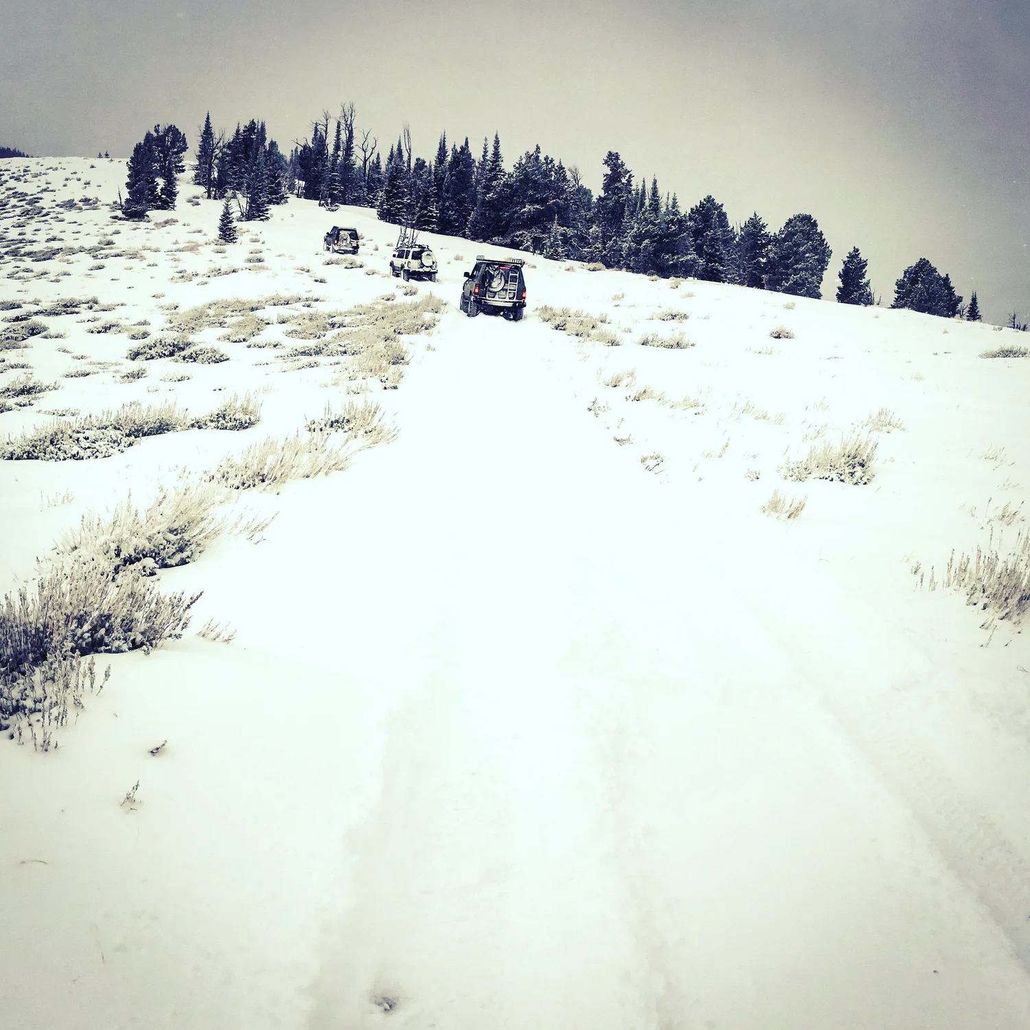Three trucks spaced out climbing a snowy two-track during a December snow wheeling run in Montana