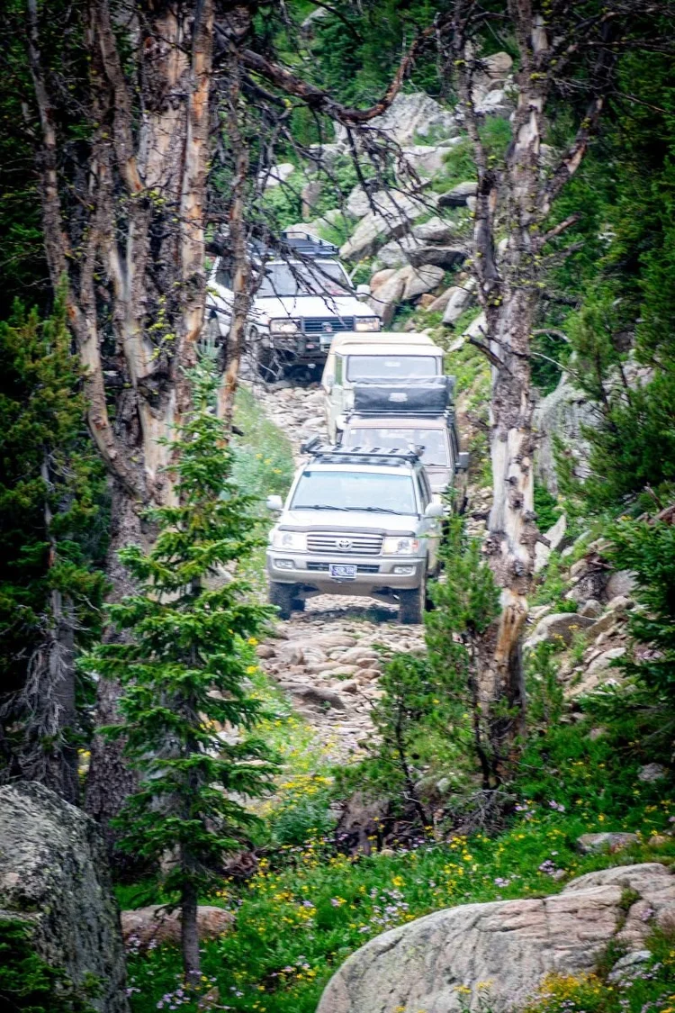 Land Cruisers lined up nose to tail in a narrow rocky chute between trees with no room to turn around.