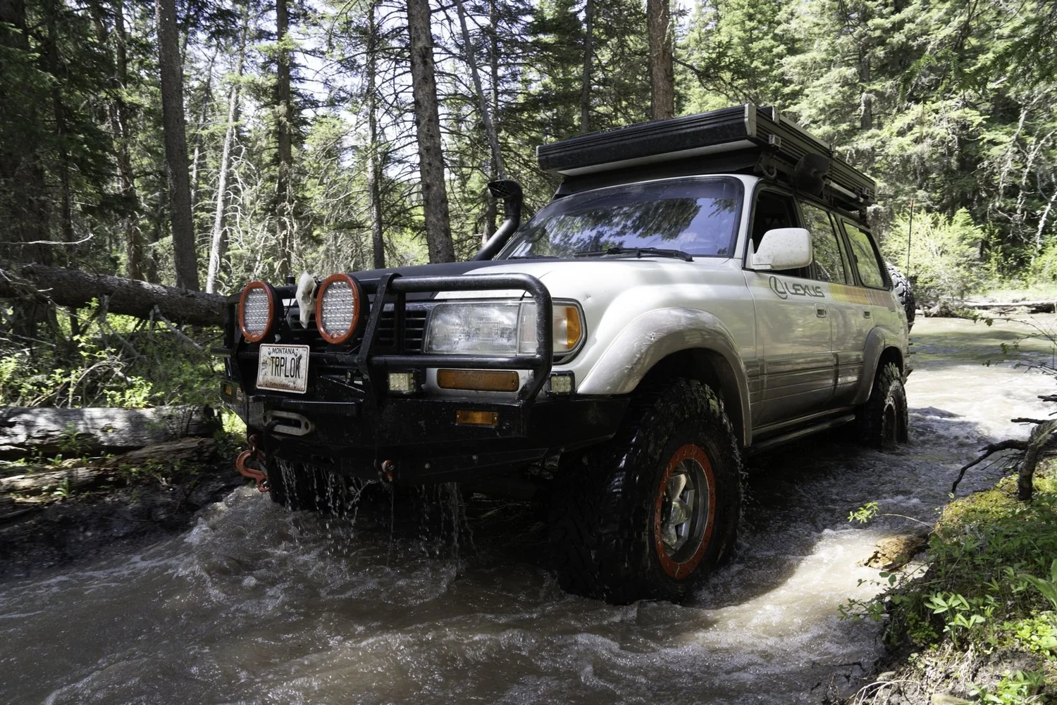 Silver Lexus LX450 with orange wheels and red auxiliary lights wading through a river past a fallen log on the Middle Fork Judith River road in the Little Belt Mountains, Montana