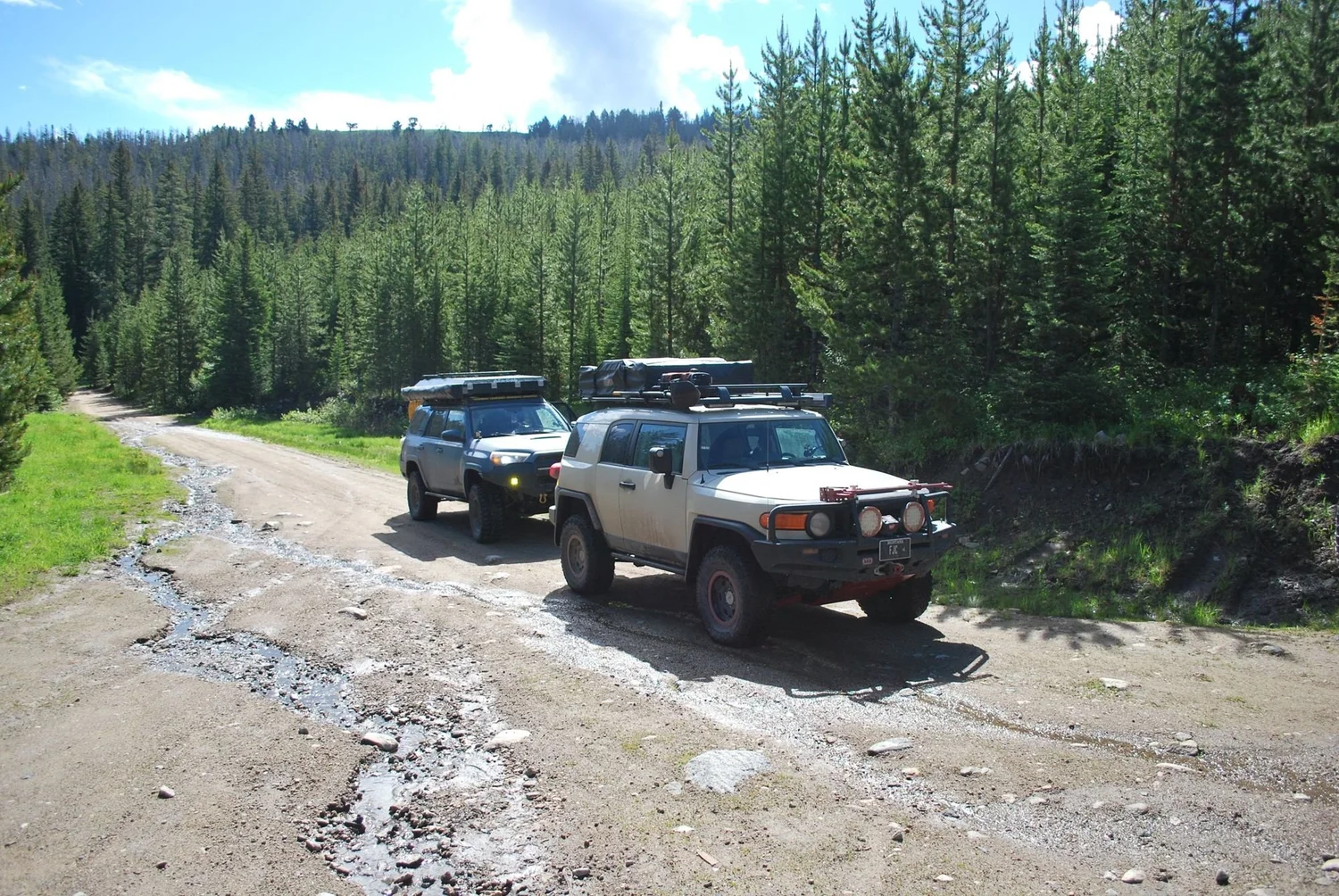 Silver 4Runner and tan FJ Cruiser on a muddy dirt road through a pine forest on the North Meadow Creek Twin Lakes trail in the Tobacco Root Mountains, Montana