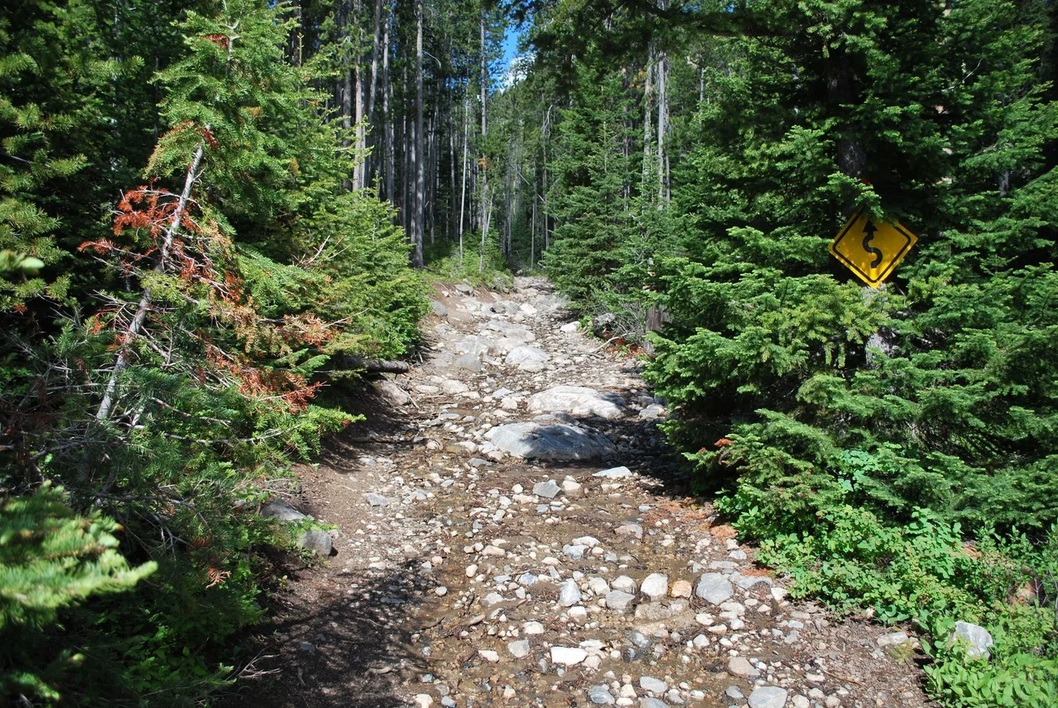 Yellow winding-road sign beside a rocky, boulder-strewn trail through dense pines on the North Meadow Creek Twin Lakes trail in the Tobacco Root Mountains, Montana