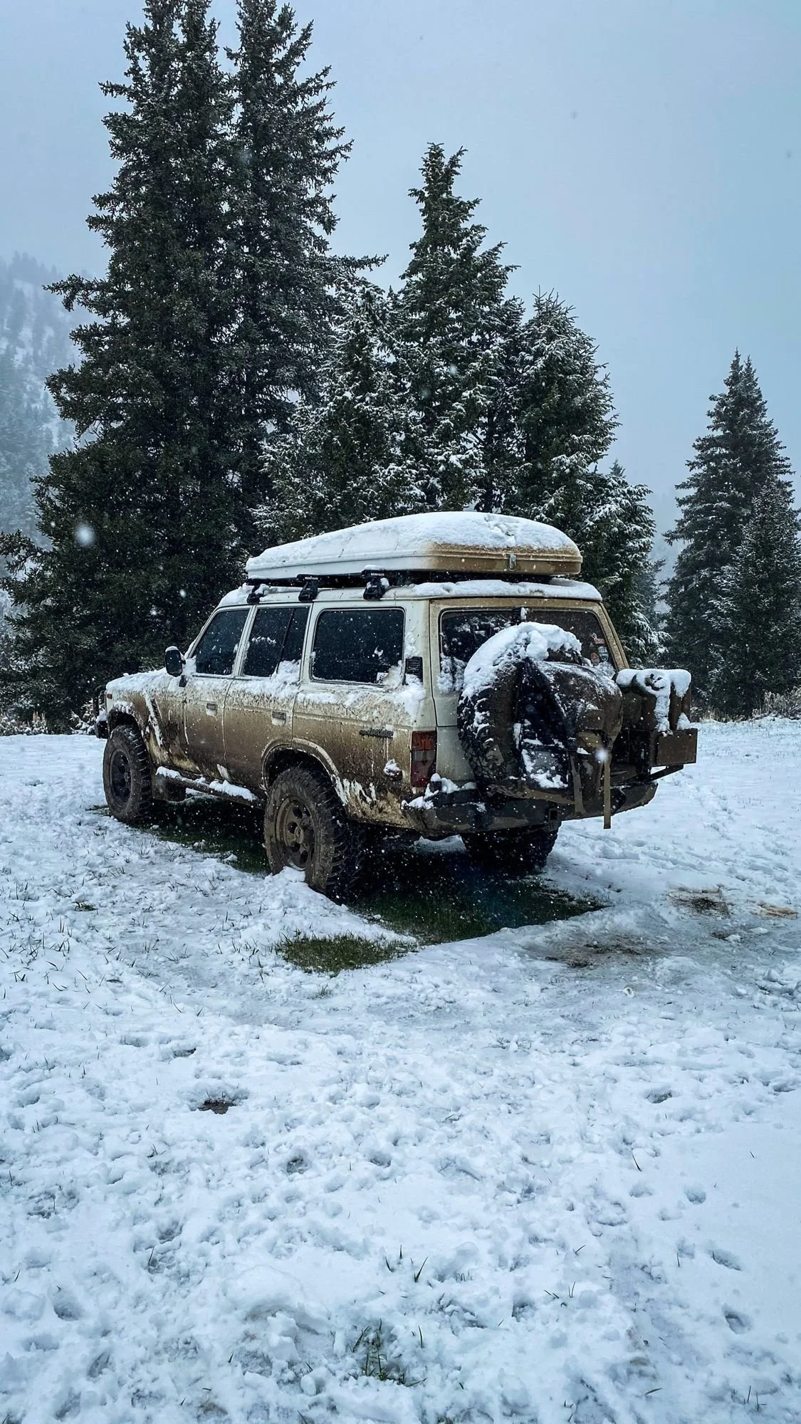 Land Cruiser with a roof box and rear spare covered in snow in a snowy clearing among evergreens on a 406 Cruisers run in the upper Ruby River country, Montana