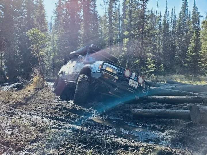 Lexus LX450 stuck in a swamp
