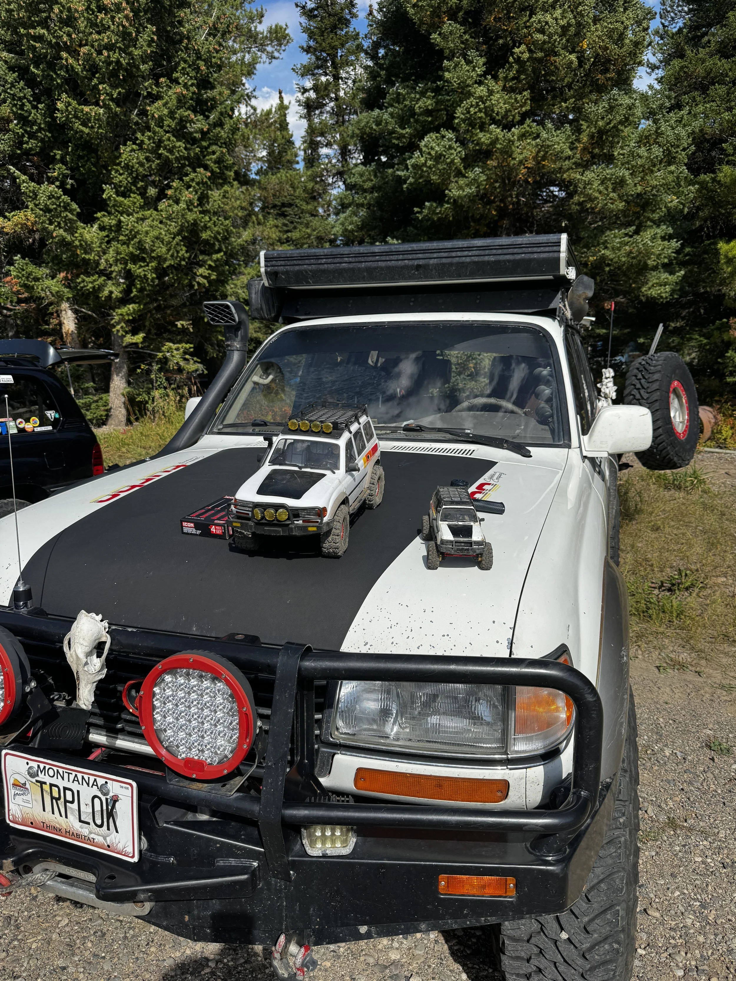 Mini RC crawlers with the full-size LX450