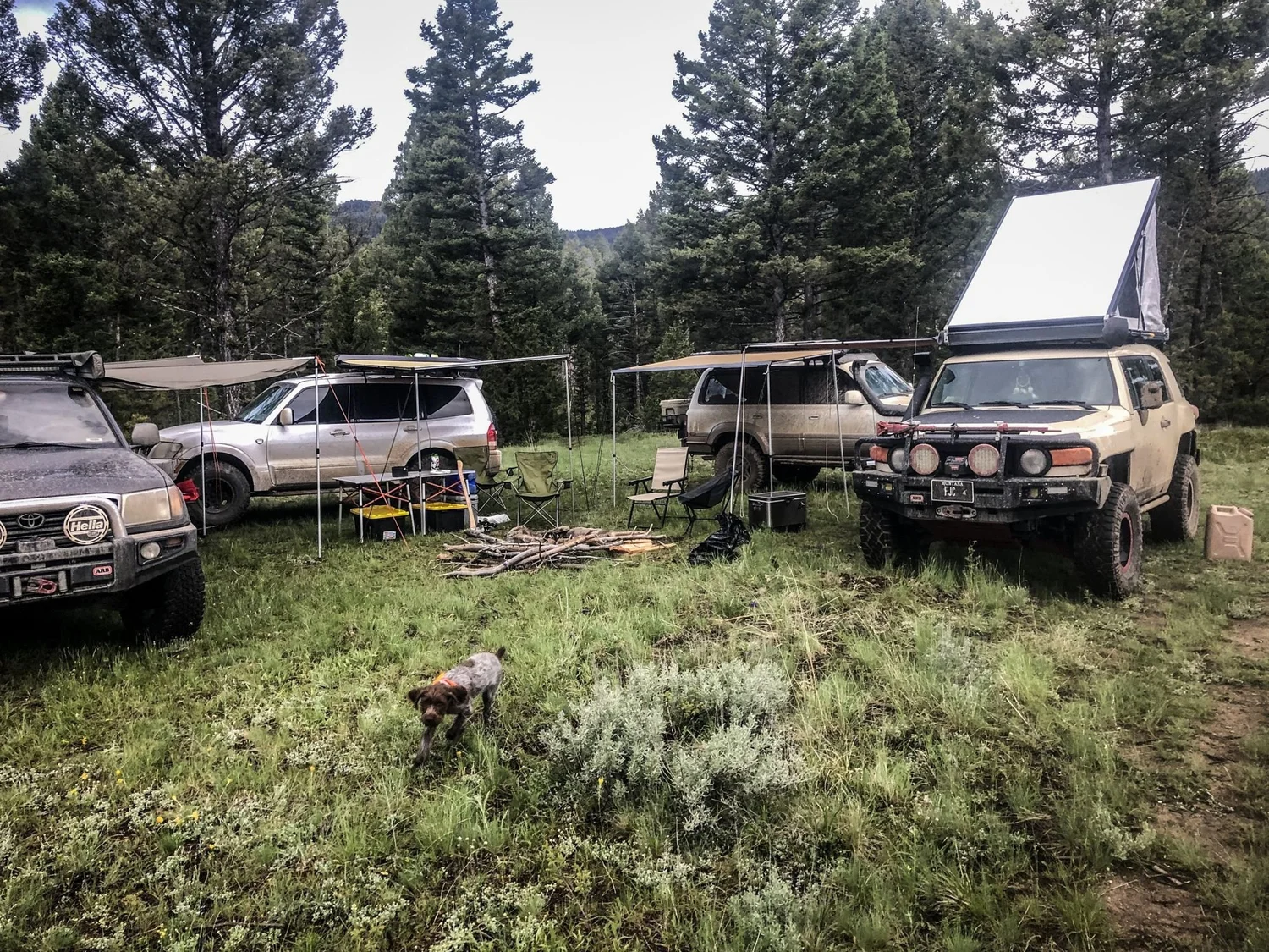 Camp in the trees with a tan FJ Cruiser, awnings and other rigs on the Ringing Rocks trail near Pipestone, Montana