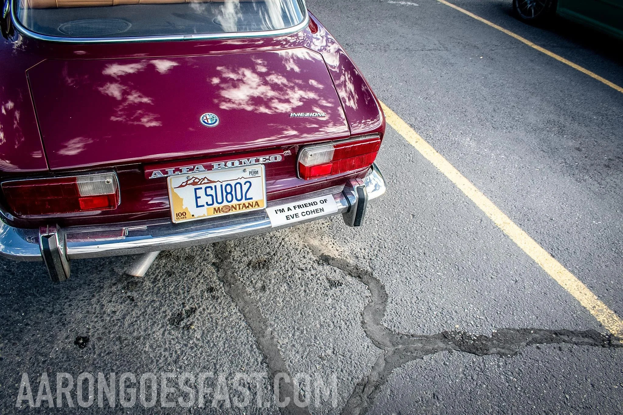 Rear view of maroon Alfa Romeo with Montana plate ESU802