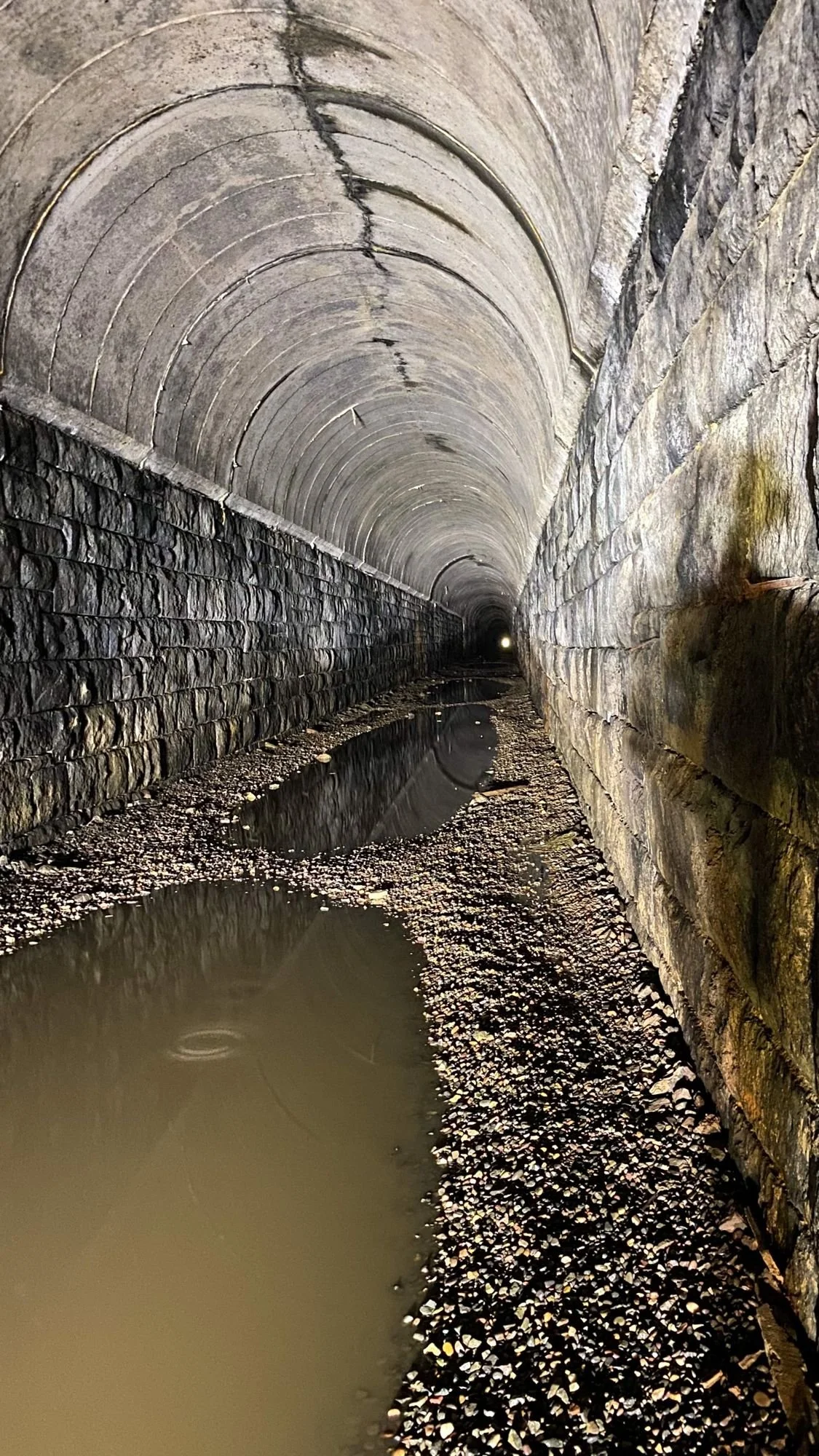 Interior of the Wickes railroad tunnel with an arched concrete lining, stone walls and a long stretch of standing water at the Wickes railroad tunnel near Jefferson City, Montana