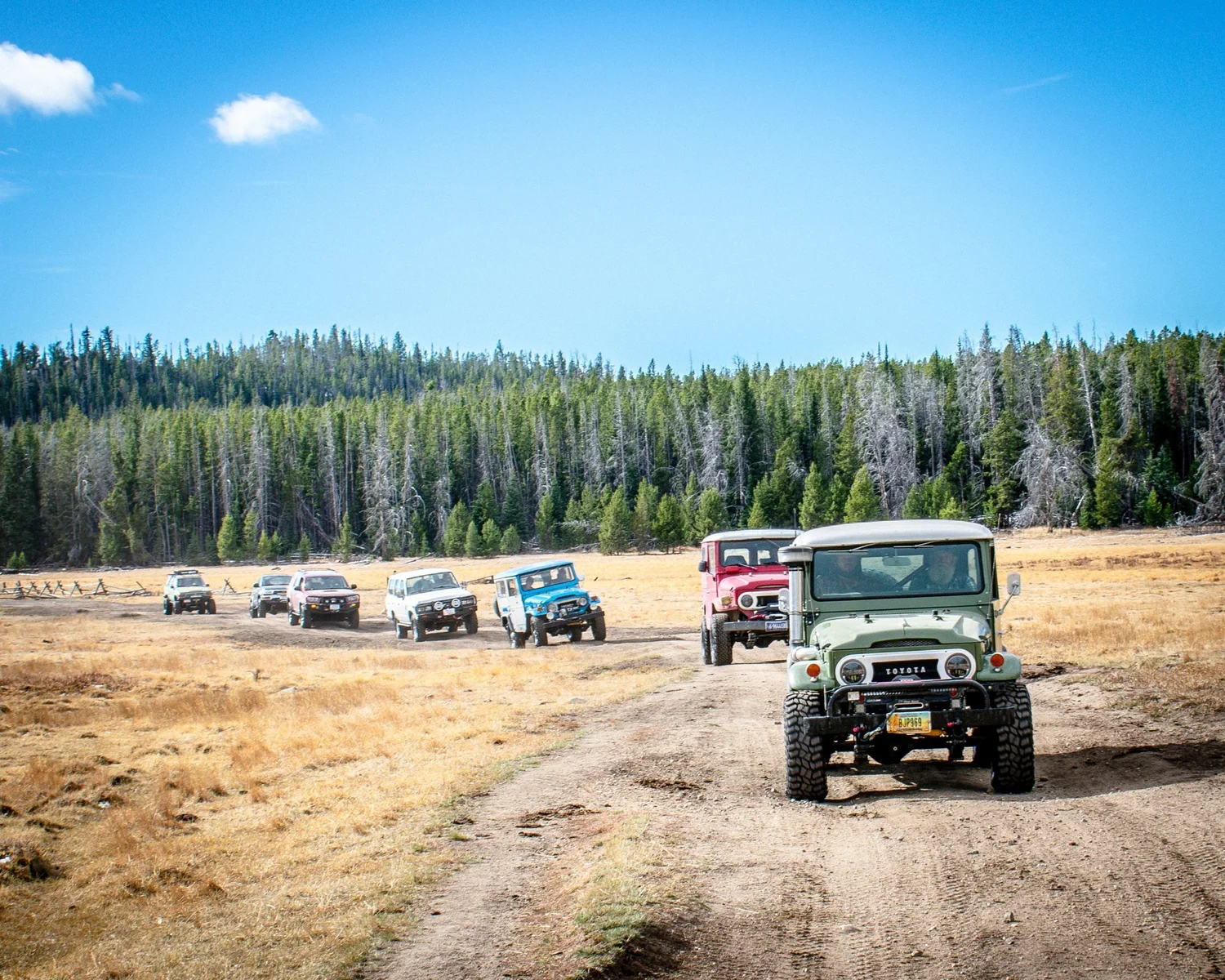 Line of 4x4s on a dirt road across an open meadow