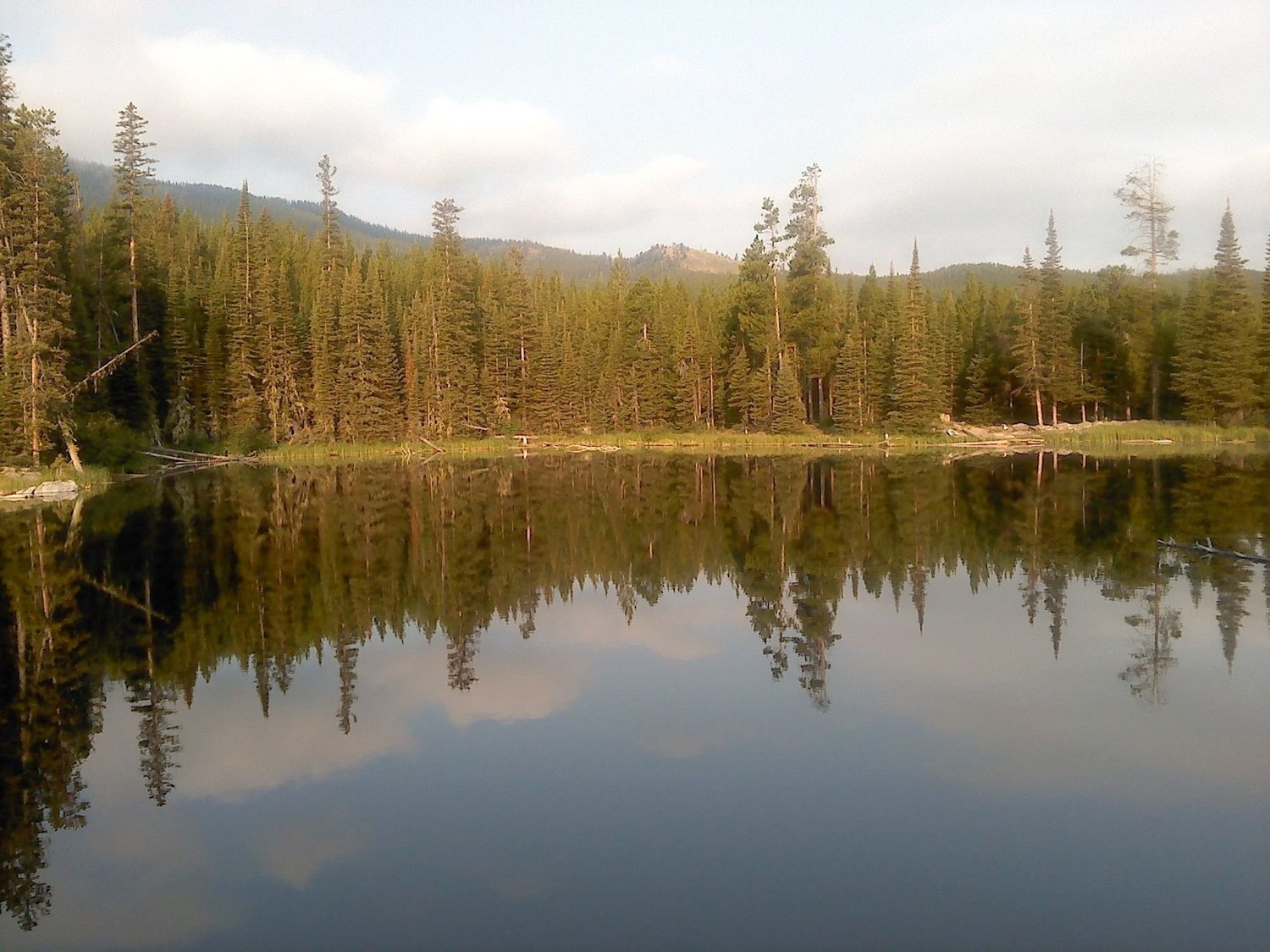 Pine-covered hills reflected in a calm mountain lake on Little Bear Road in the Gallatin Range near Bozeman, Montana