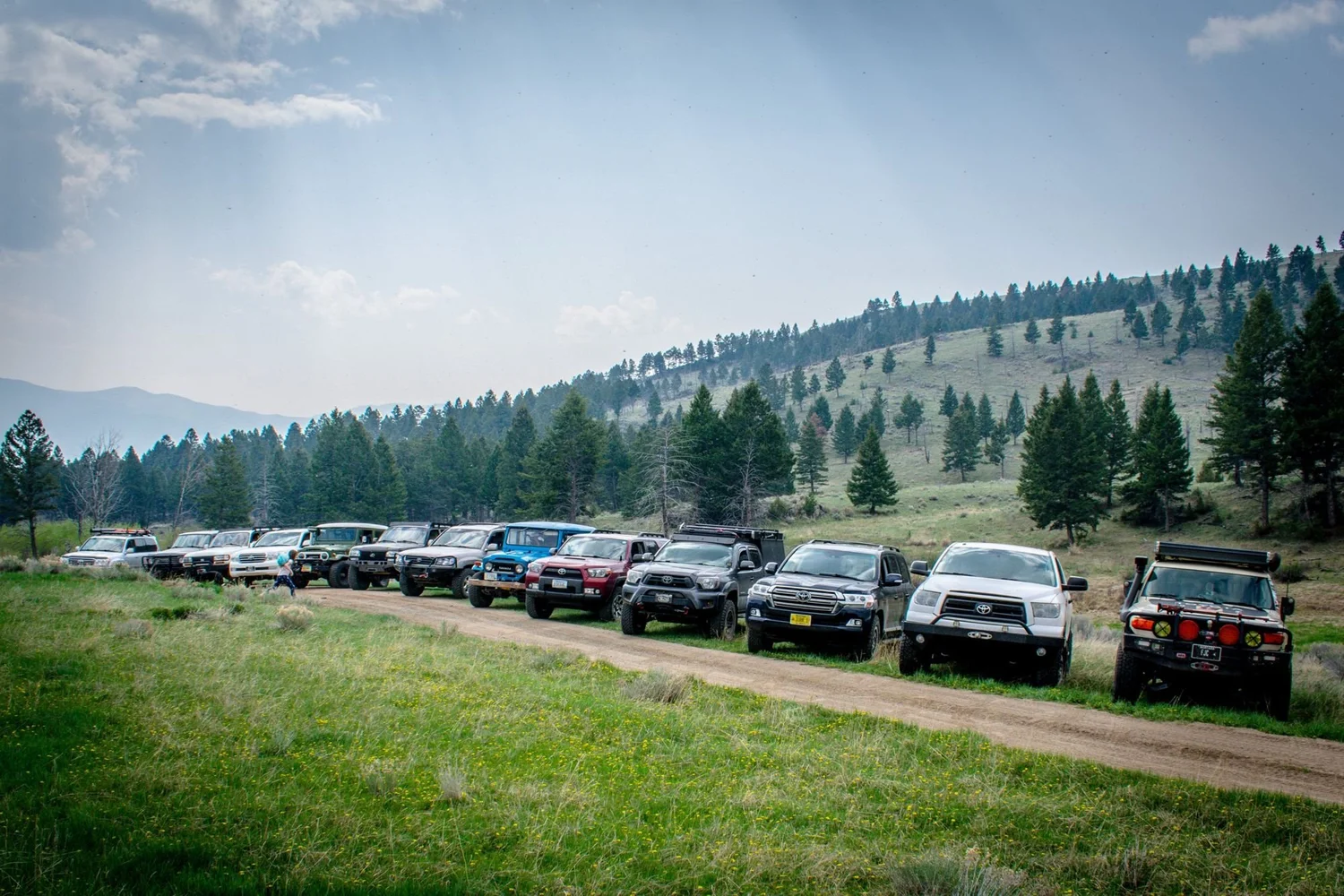 Long line of Toyota Land Cruisers and other trucks parked along a meadow two-track with forested hills behind on the Ringing Rocks trail near Pipestone, Montana