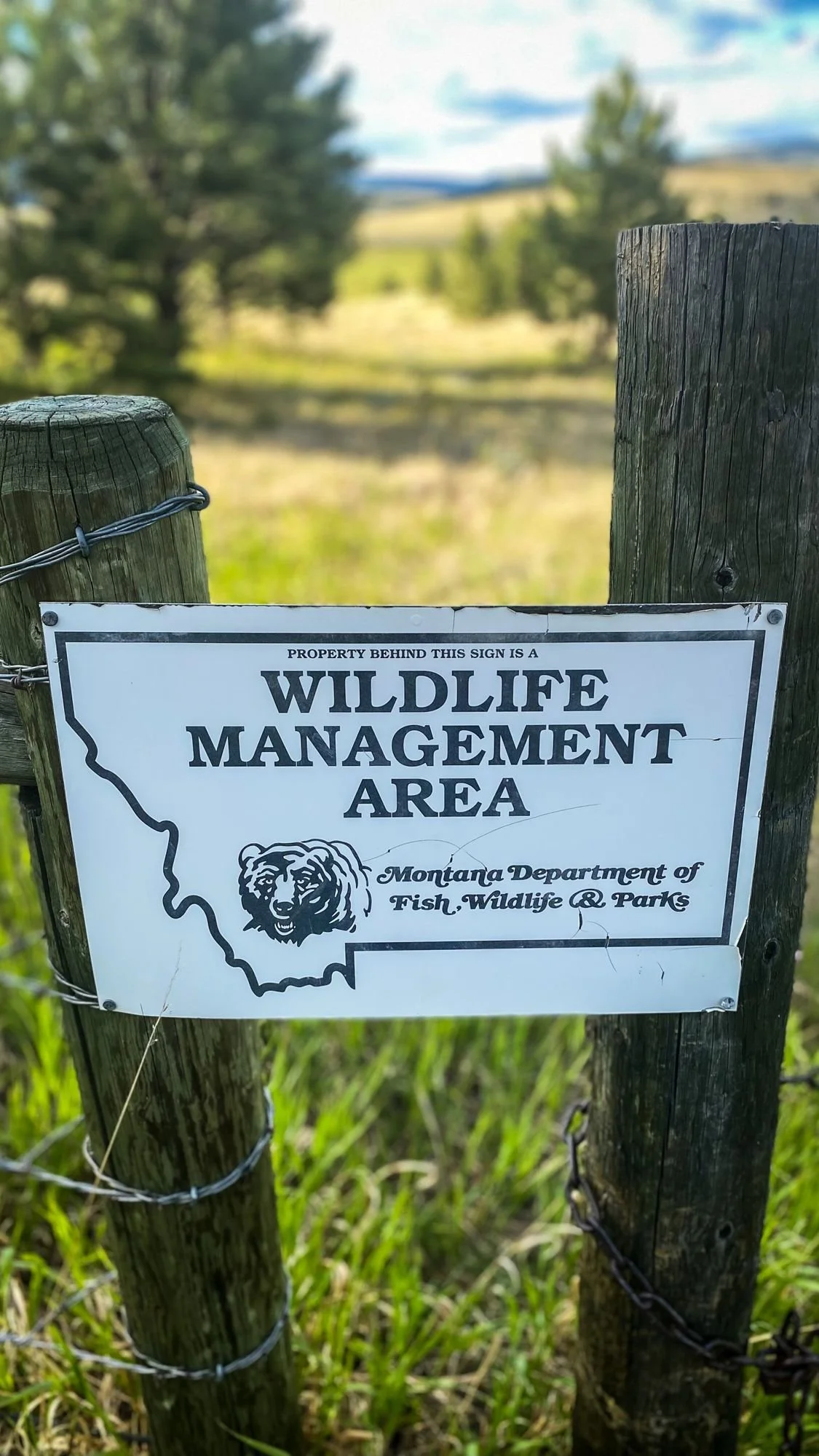 Montana Fish, Wildlife and Parks Wildlife Management Area sign on a fence post in a meadow on the Middle Fork Judith River road in the Little Belt Mountains, Montana