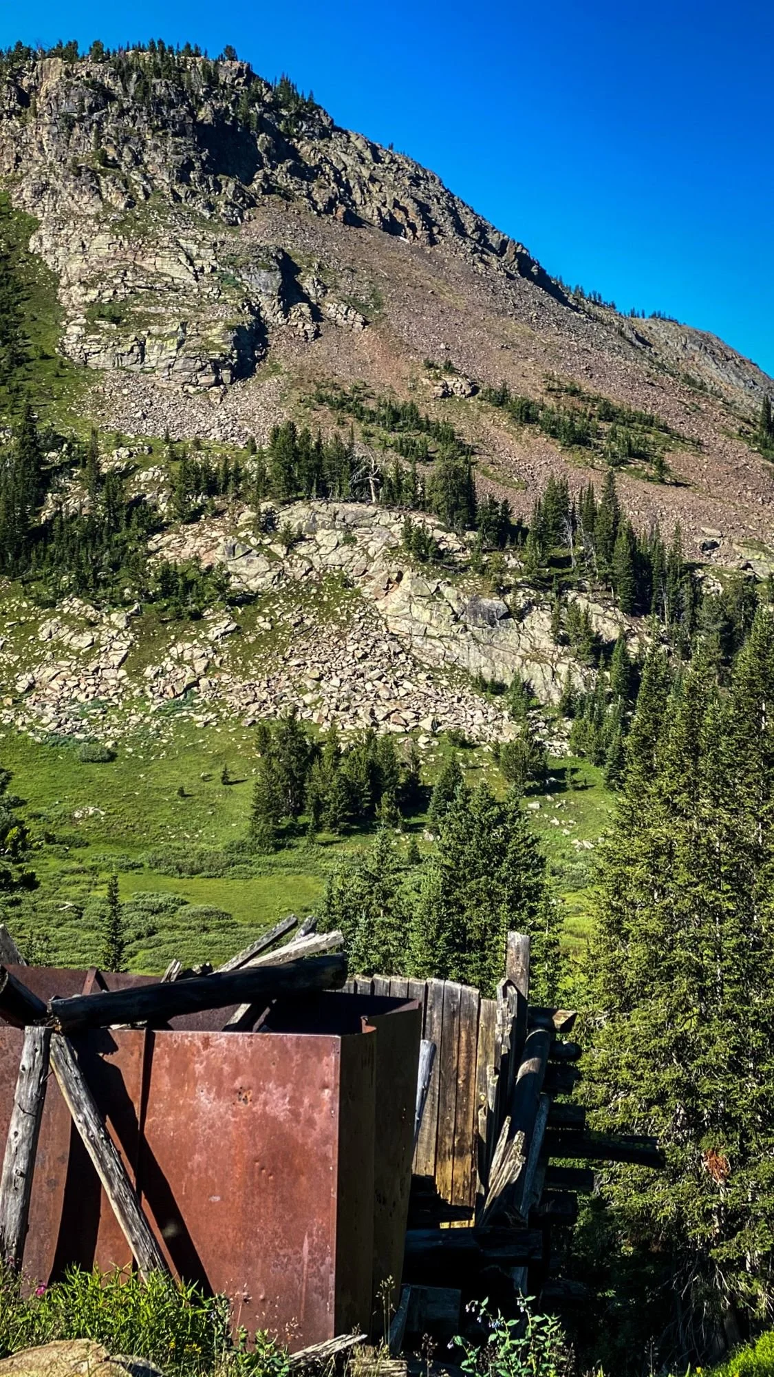 Rusted, collapsed cabin in the trees below a steep, rocky mountainside on the Independence road above the Boulder River, Montana