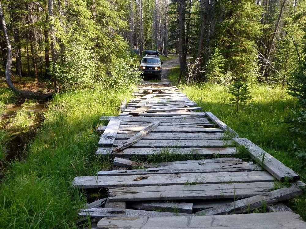 Old wooden plank bridge across a grassy creek on a forest trail on a rocky forest trail in Montana