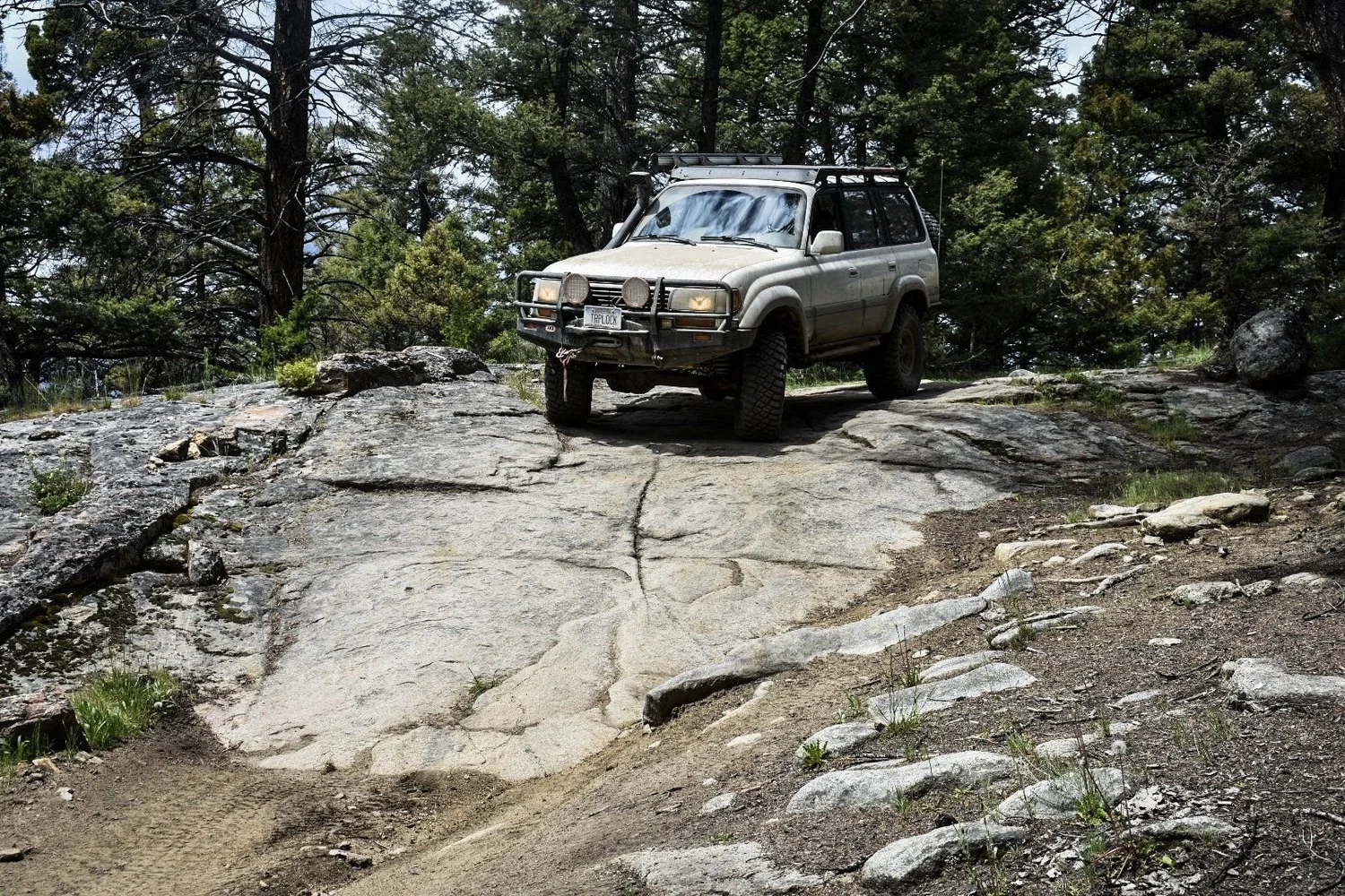 Tan Toyota Land Cruiser 80 Series with a bull bar and roof rack cresting a broad granite slab in the pines on the Ringing Rocks trail near Pipestone, Montana