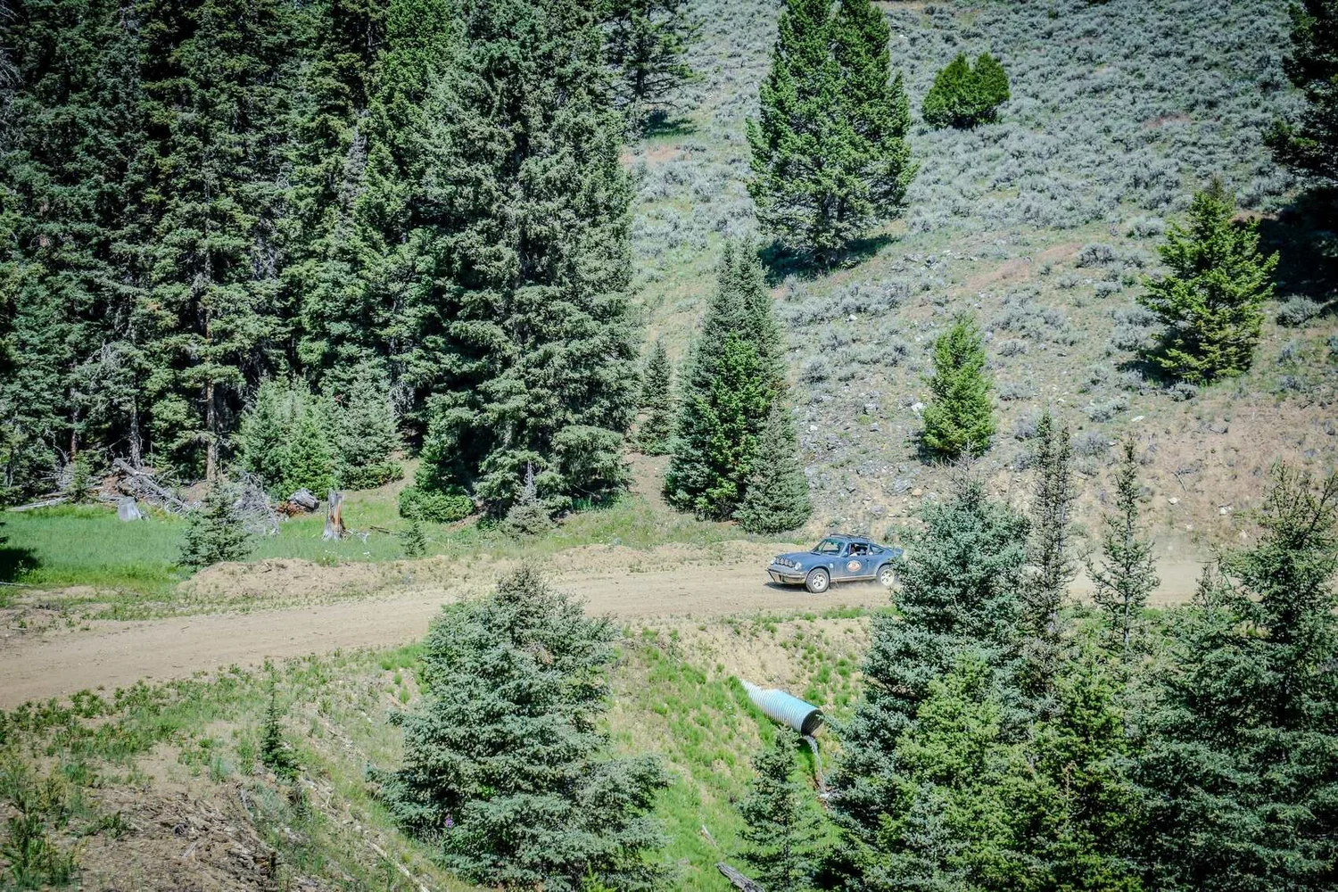 Small rally car on a dirt road in a large Montana forest landscape
