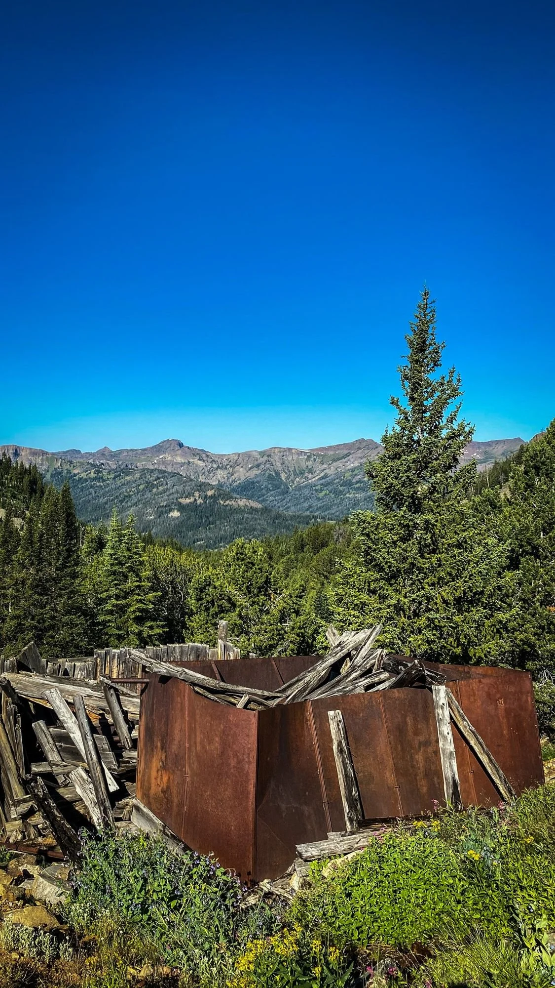 Collapsed timber cabin with rusted sheet-metal walls on a hillside above a forested valley on the Independence road above the Boulder River, Montana