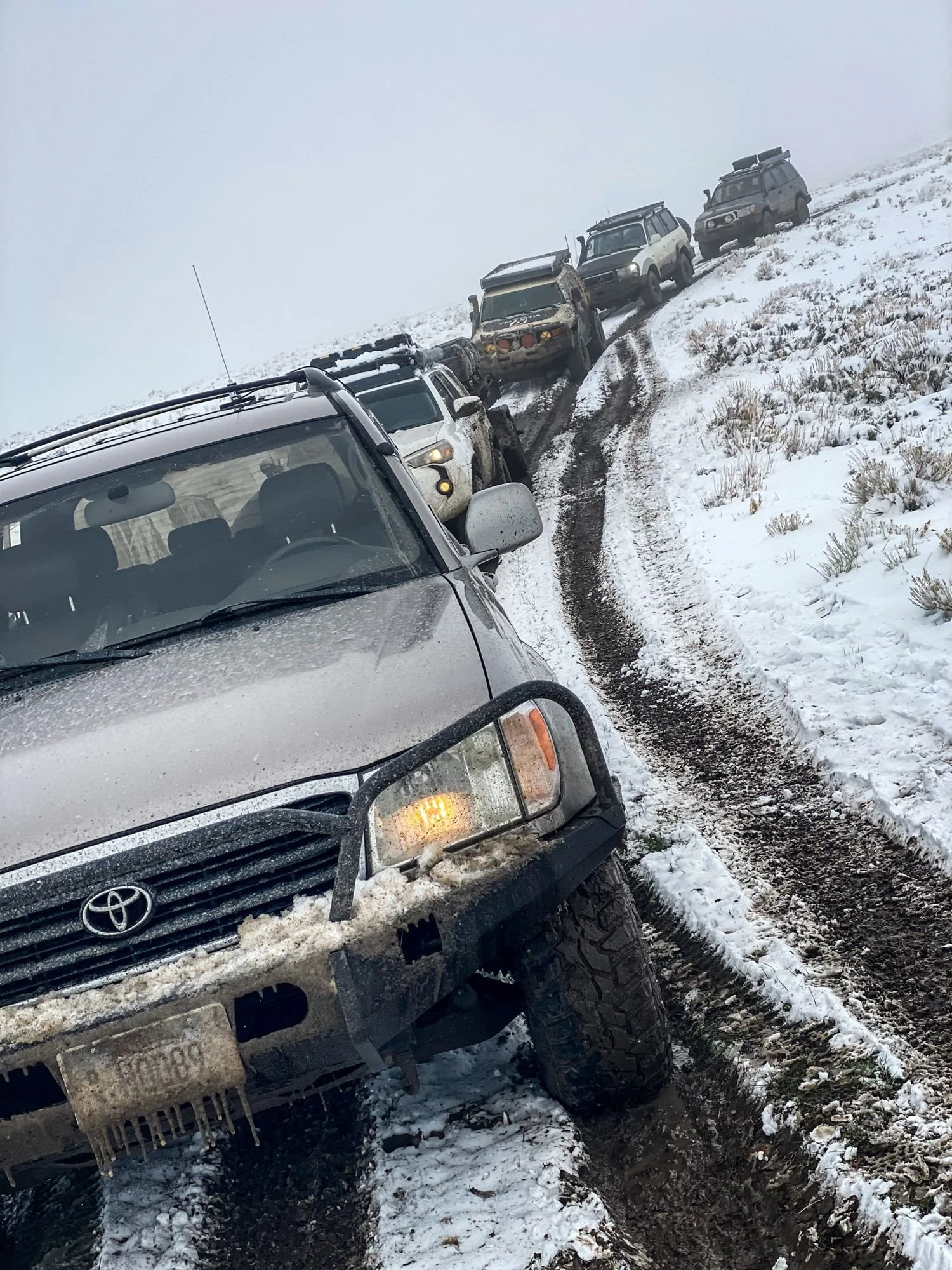 Silver Toyota pickup in snowy ruts with a line of trucks ahead on the hillside on a 406 Cruisers run in the upper Ruby River country, Montana