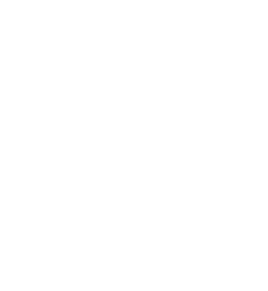 Realtor