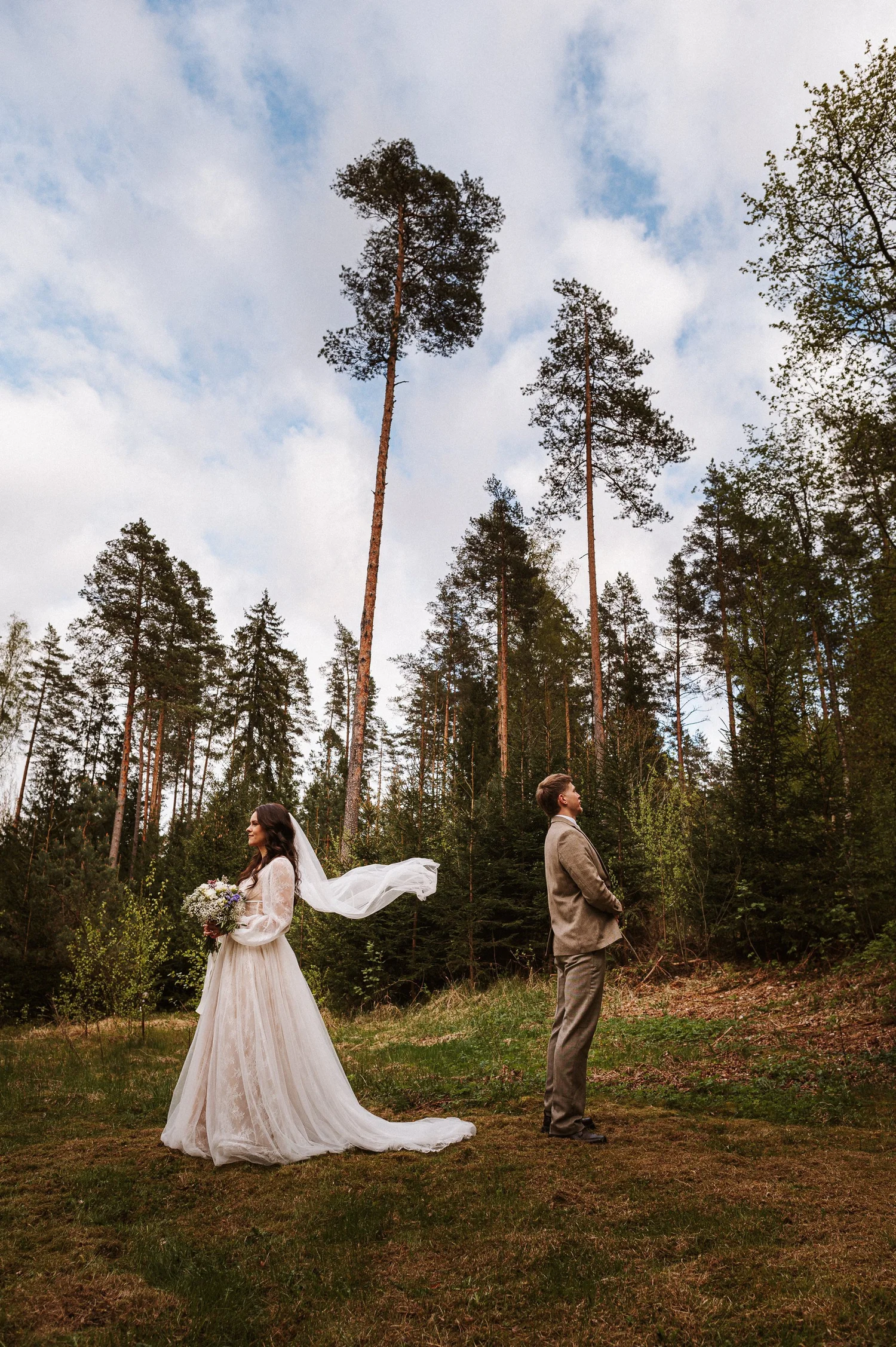 Pāris starp priedēm ar plīvura kustību