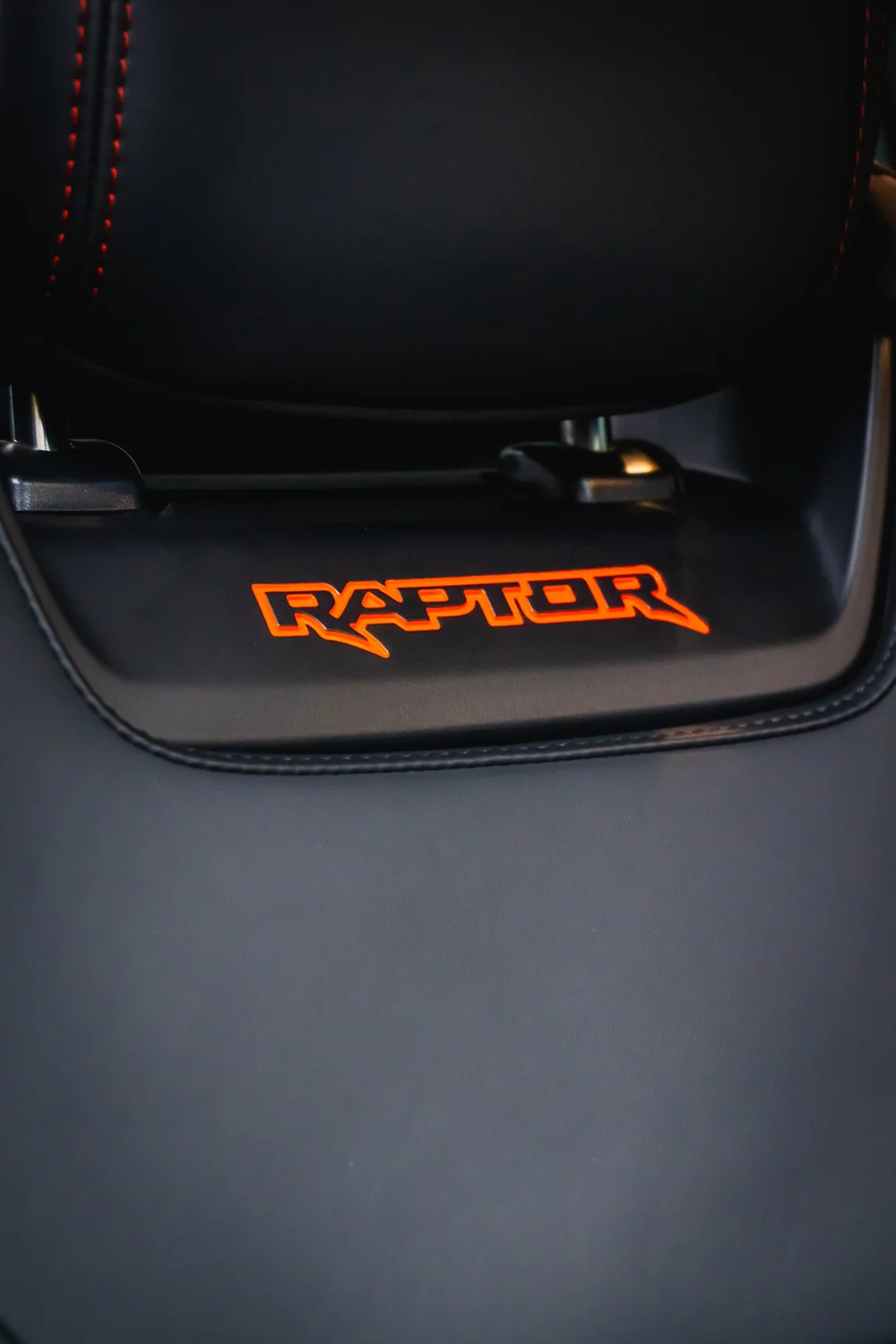Лого Raptor върху текстилна стелка