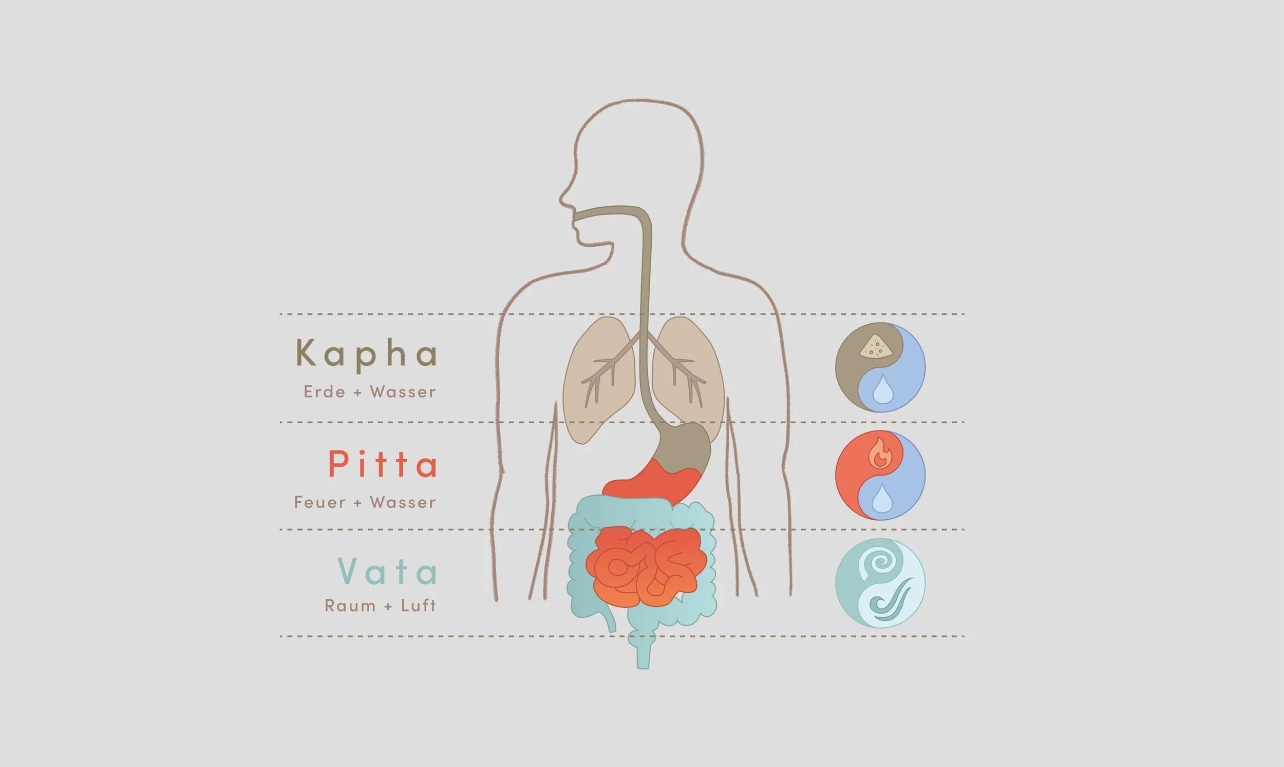 Ayurveda Ausbildung 5