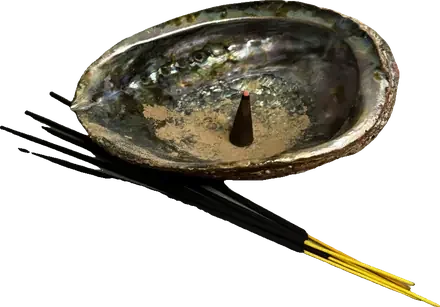 Abalone shell with incense cone and sticks
