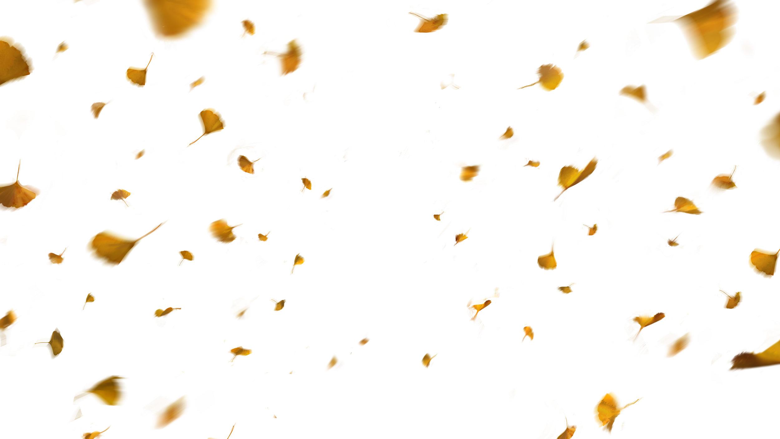 Leaves Layer