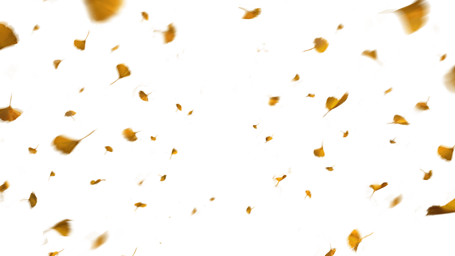Leaves Layer