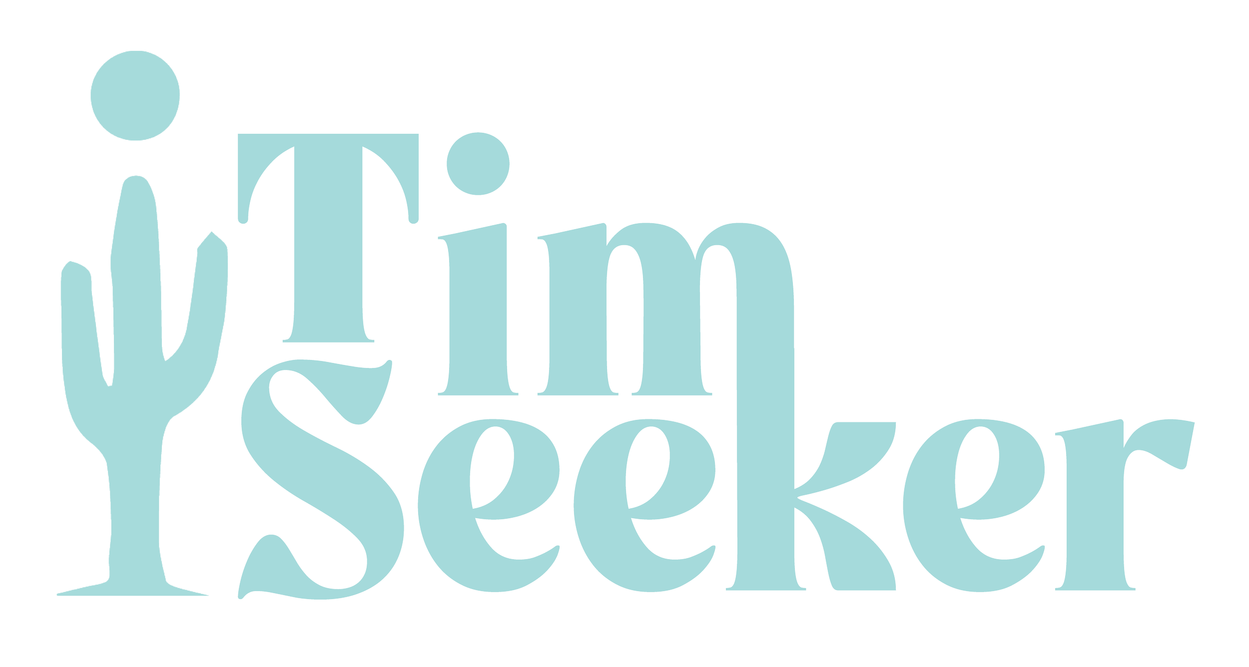 Tim Seeker