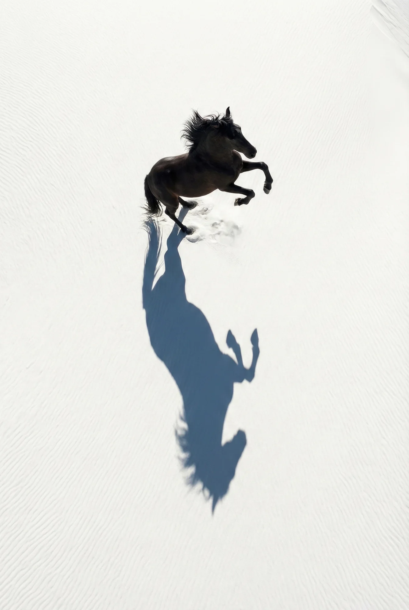 SPECTO by Raphael Macek