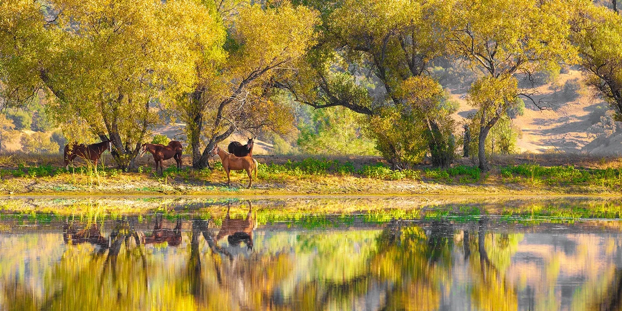 Autumn Bliss — Detail View