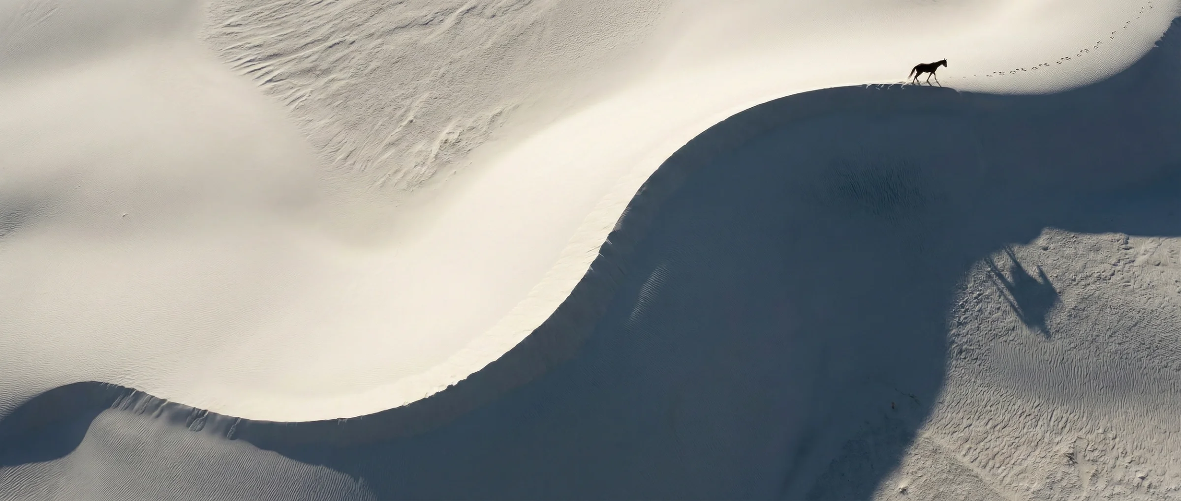 Over the Dunes — Arabian horses in monochrome desert landscape by Raphael Macek