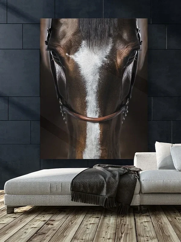 Immersion — fine art equine photography by Raphael Macek