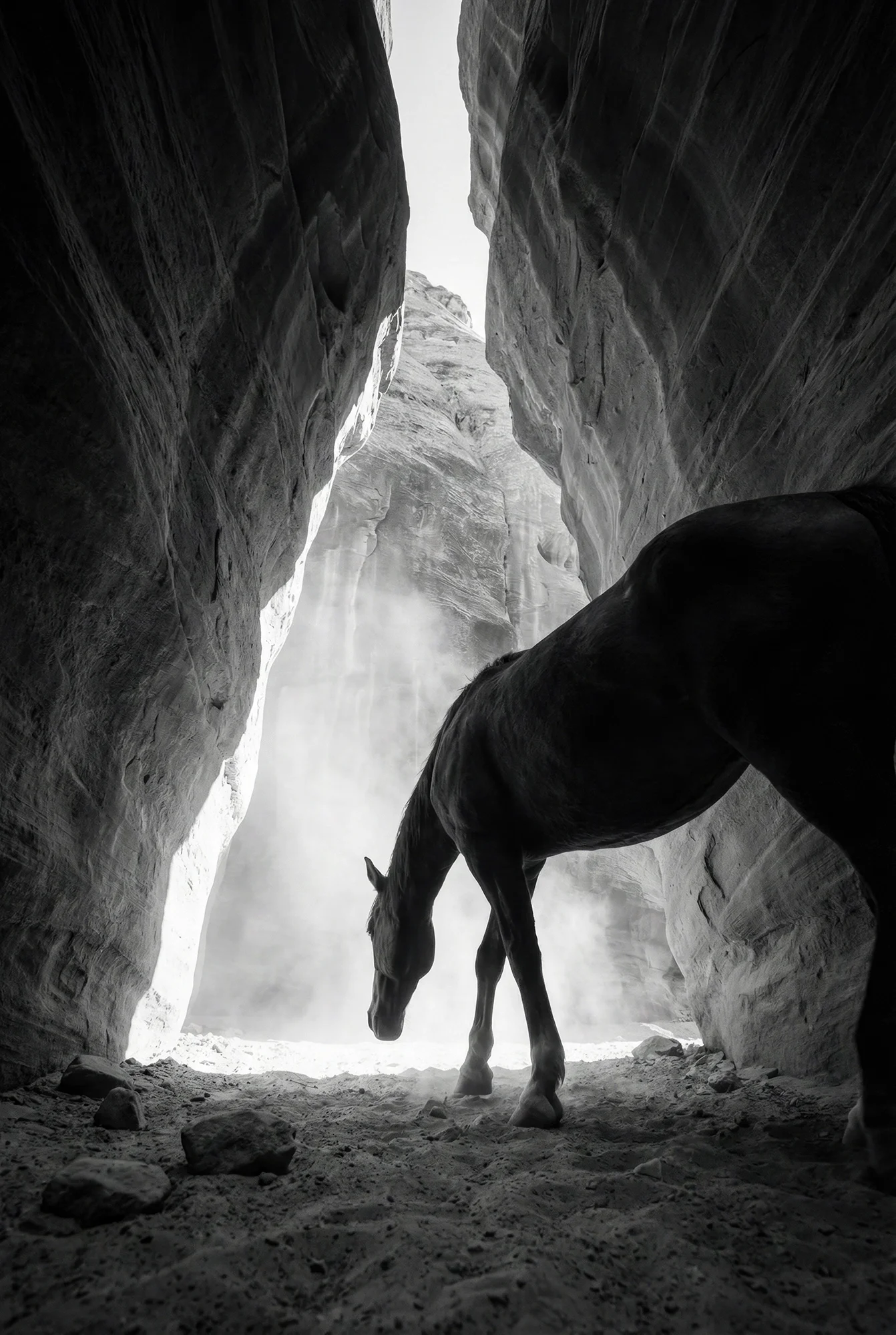 Abyssus — fine art equine photography by Raphael Macek