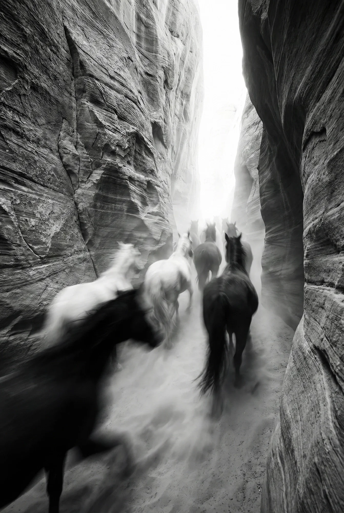 Over the Dunes Collection