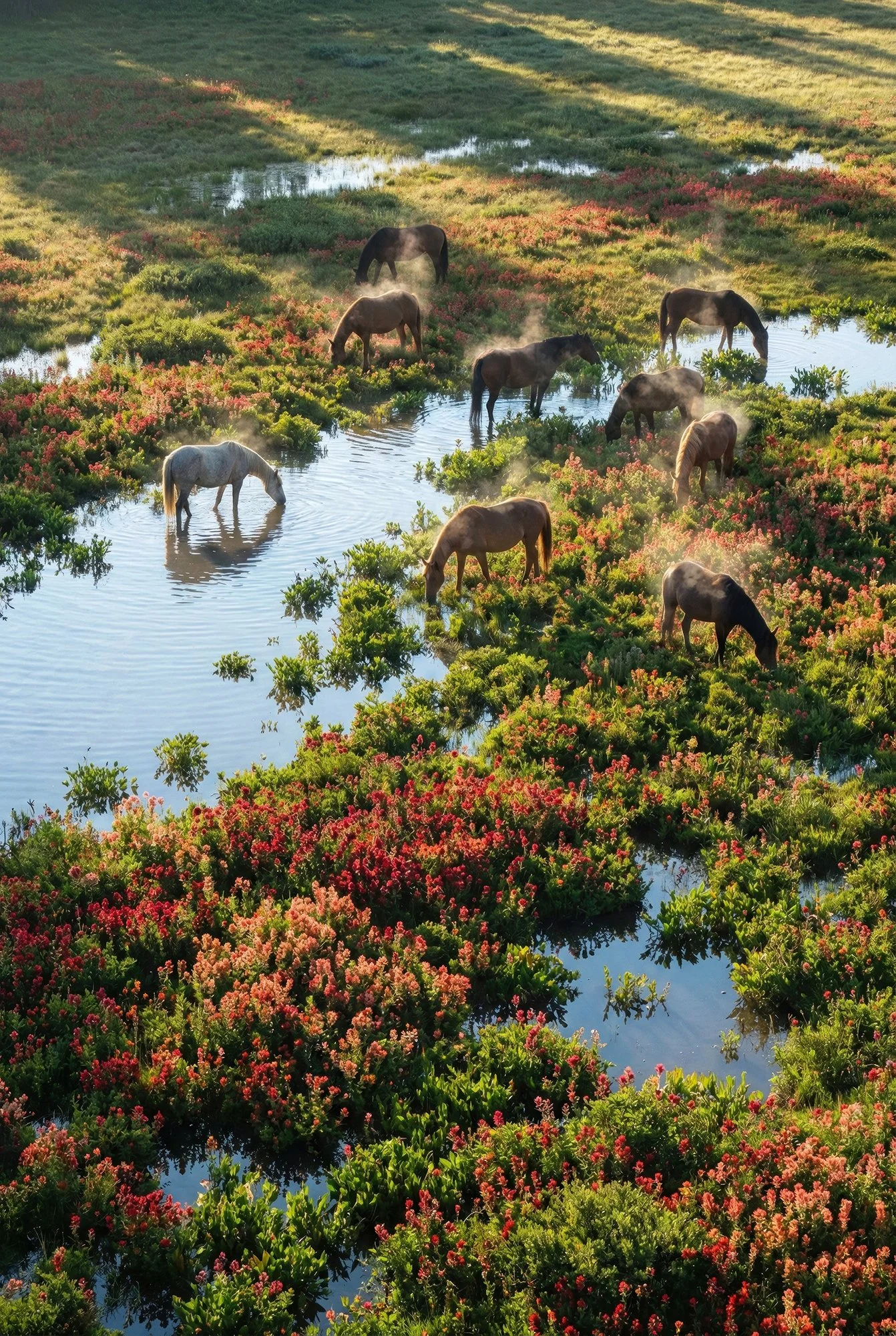 From Sand to Sea — Oltre le Onde Collection by Raphael Macek