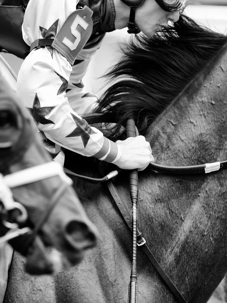 Beyond the Gate Collection